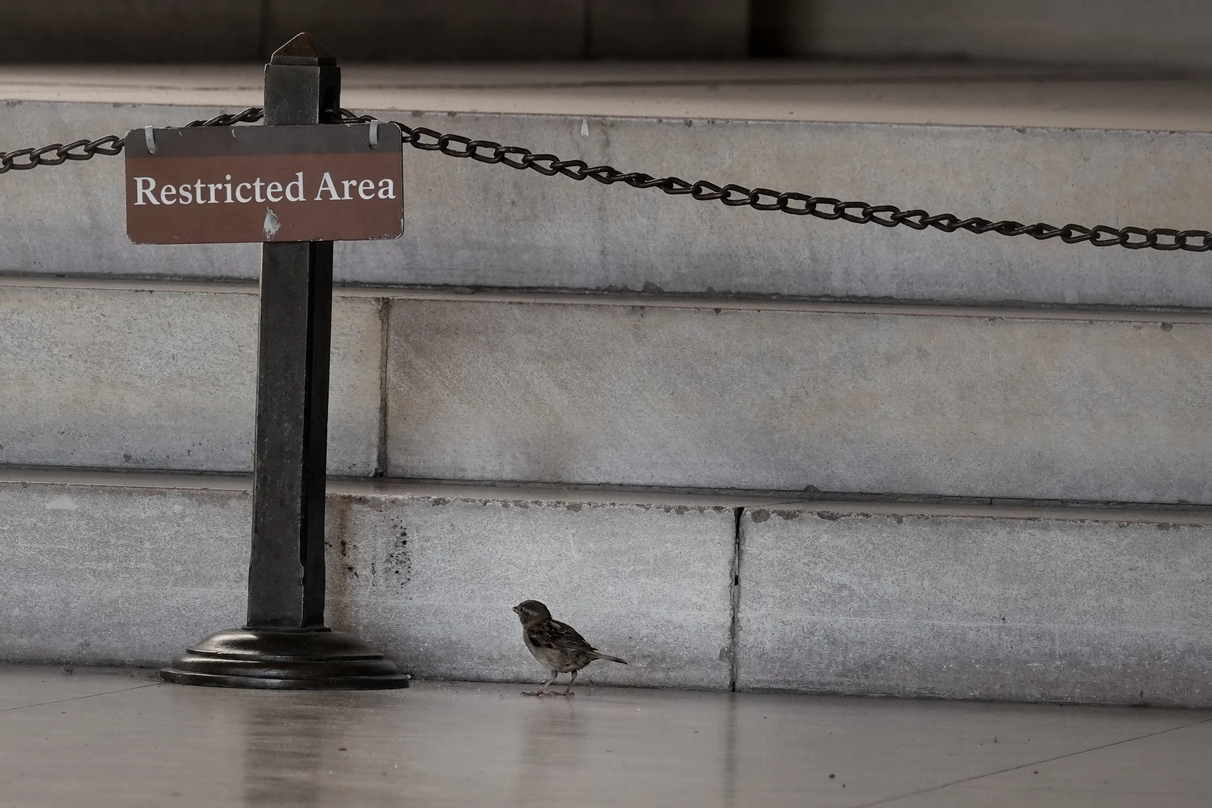 Leadership Pause: What’s keeping me from getting there?