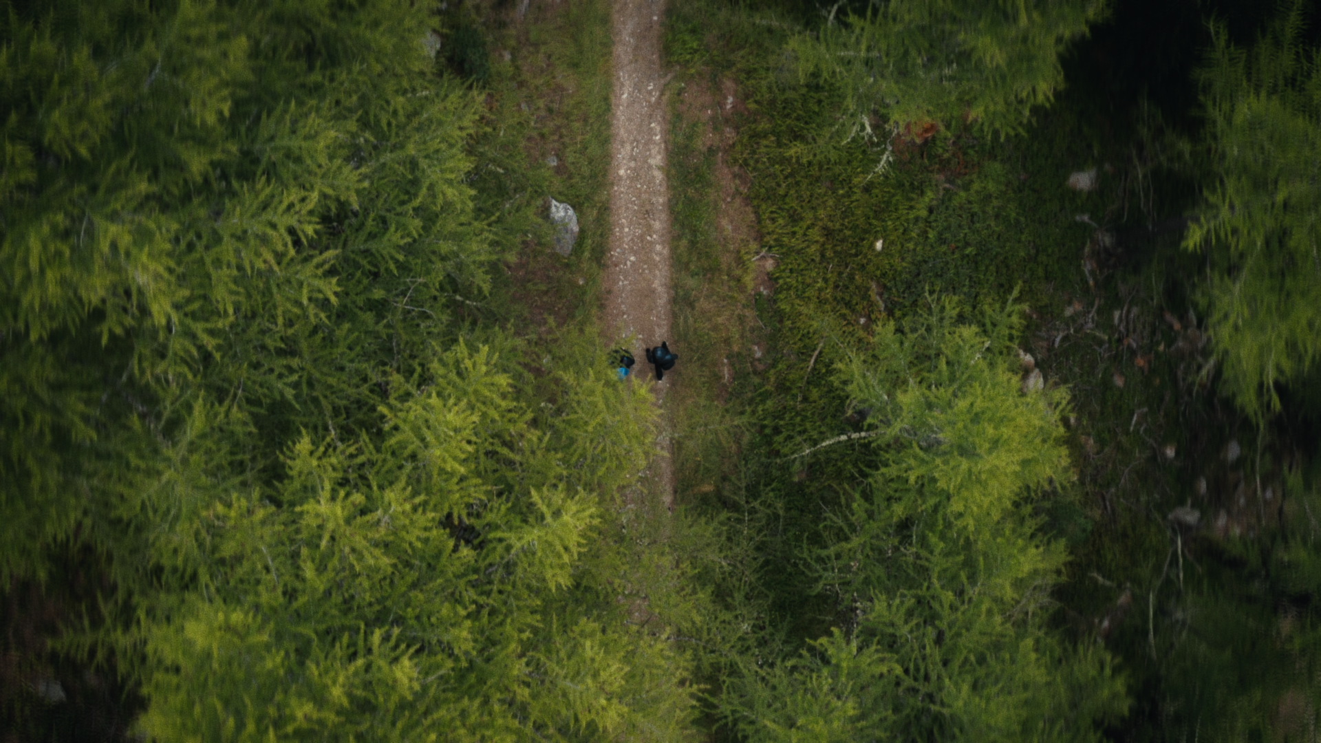 Still 2024-10-04 222939_1.105.1.png