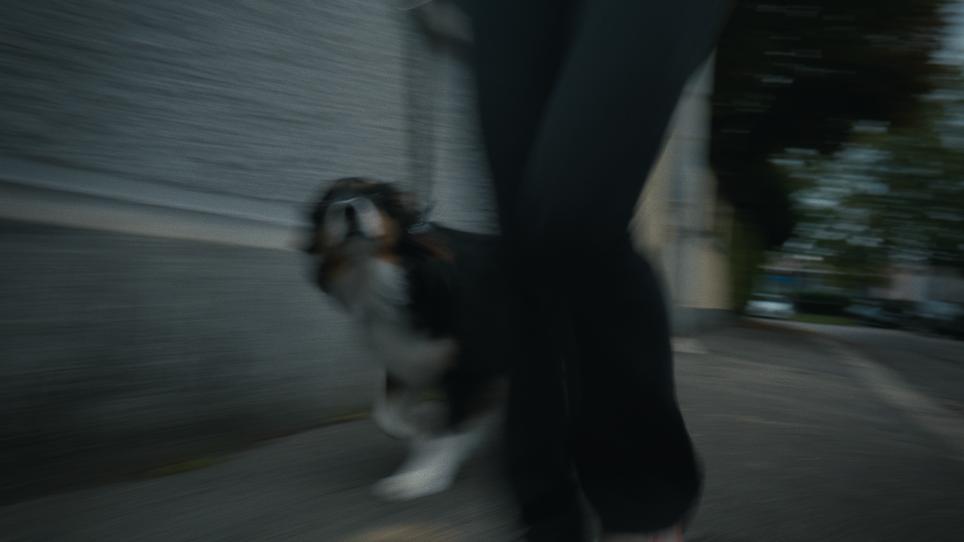 Still 2024-10-04 222939_1.5.1.png