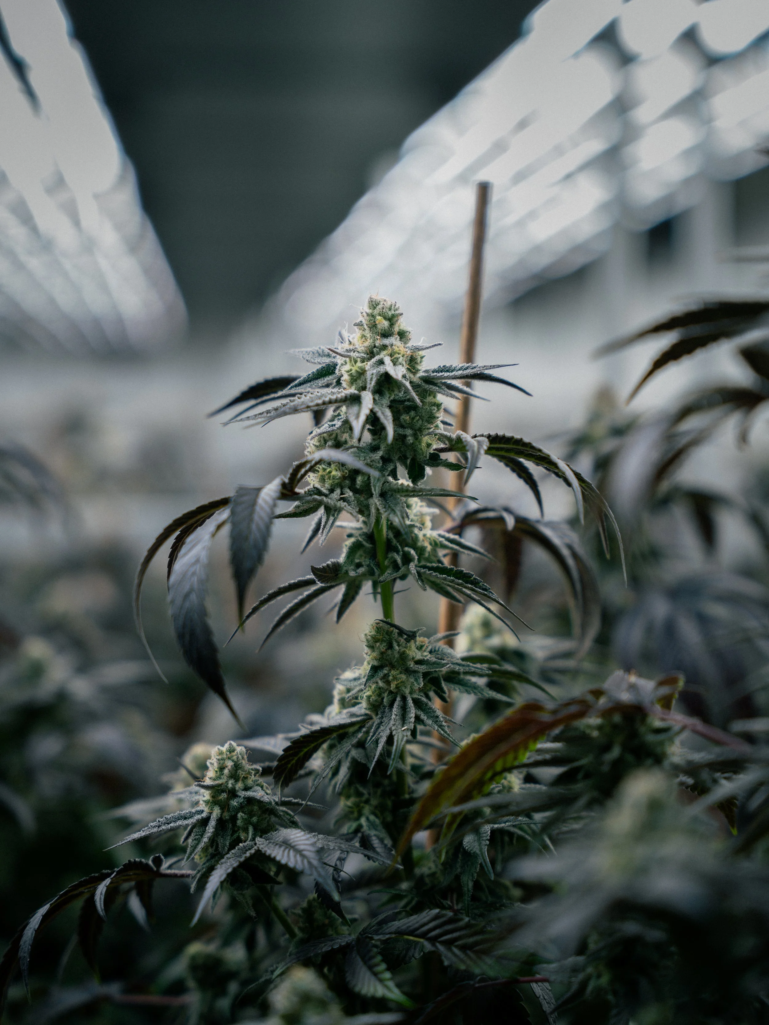 Anlage Endstadion Fotos-8.jpg