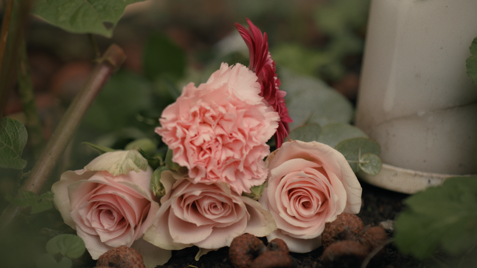 Still 2024-10-04 222939_1.164.1.png