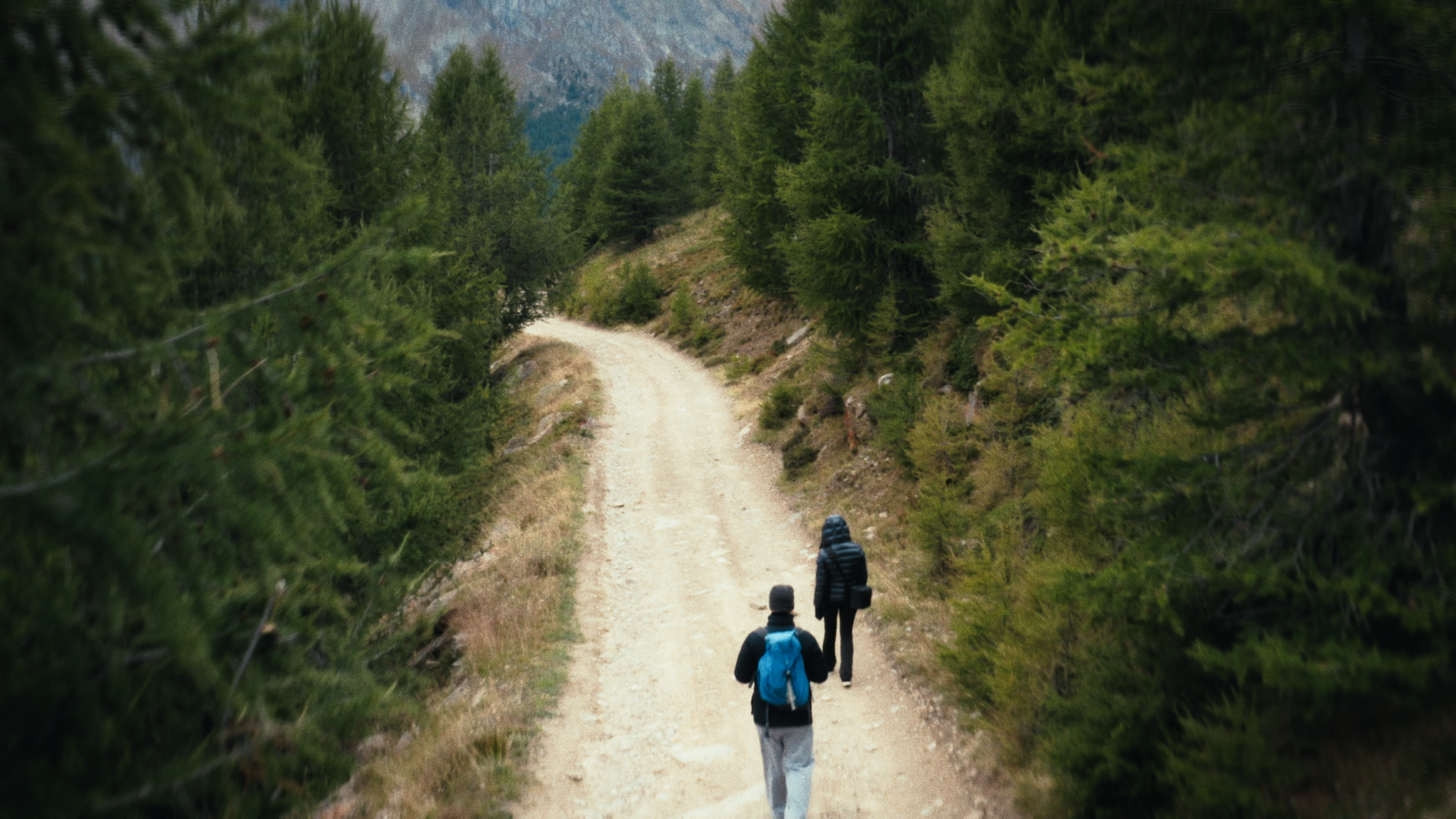 Still 2024-10-04 222939_1.103.1.png