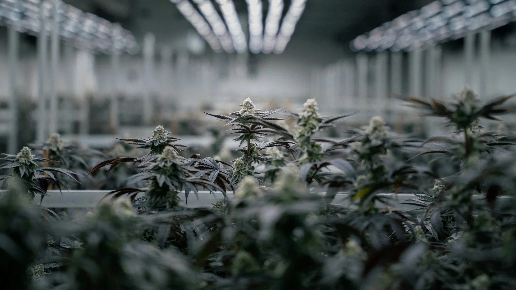 Anlage Endstadion Fotos-19.jpg