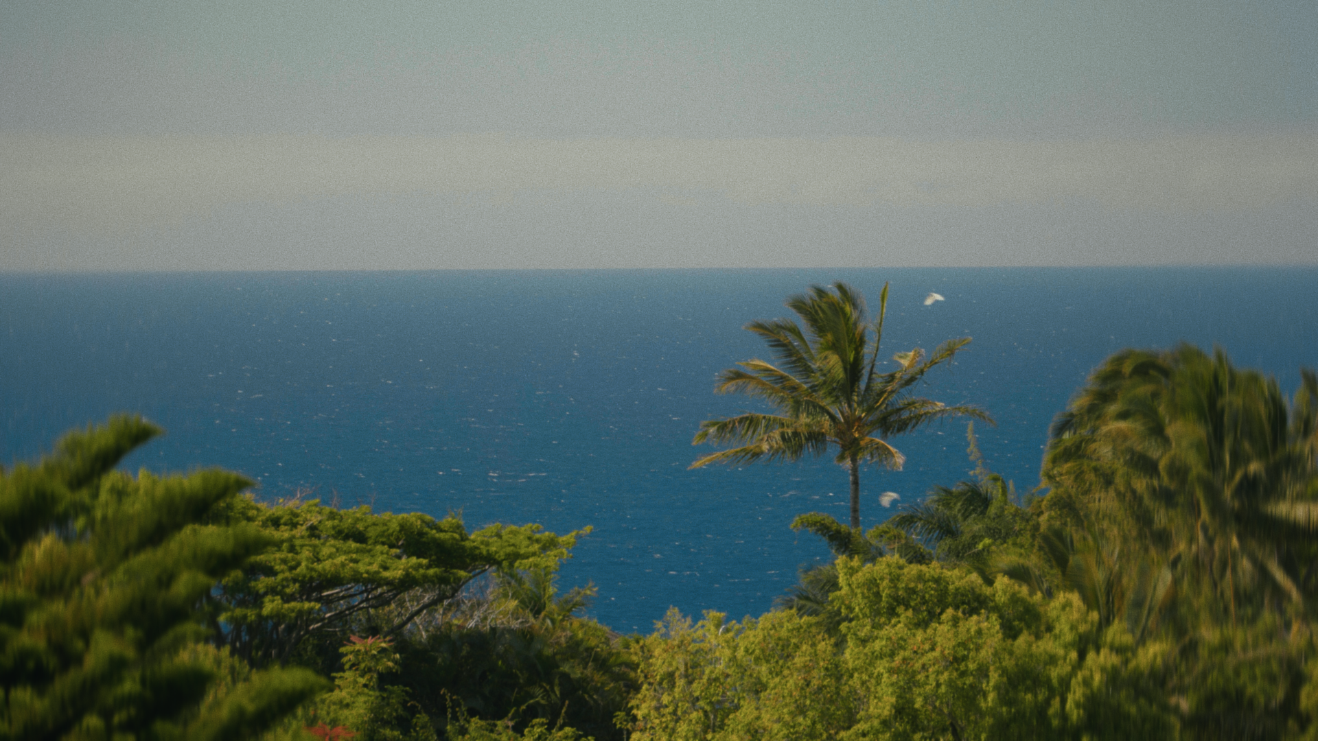 Still 2024-10-04 222939_1.116.1.png