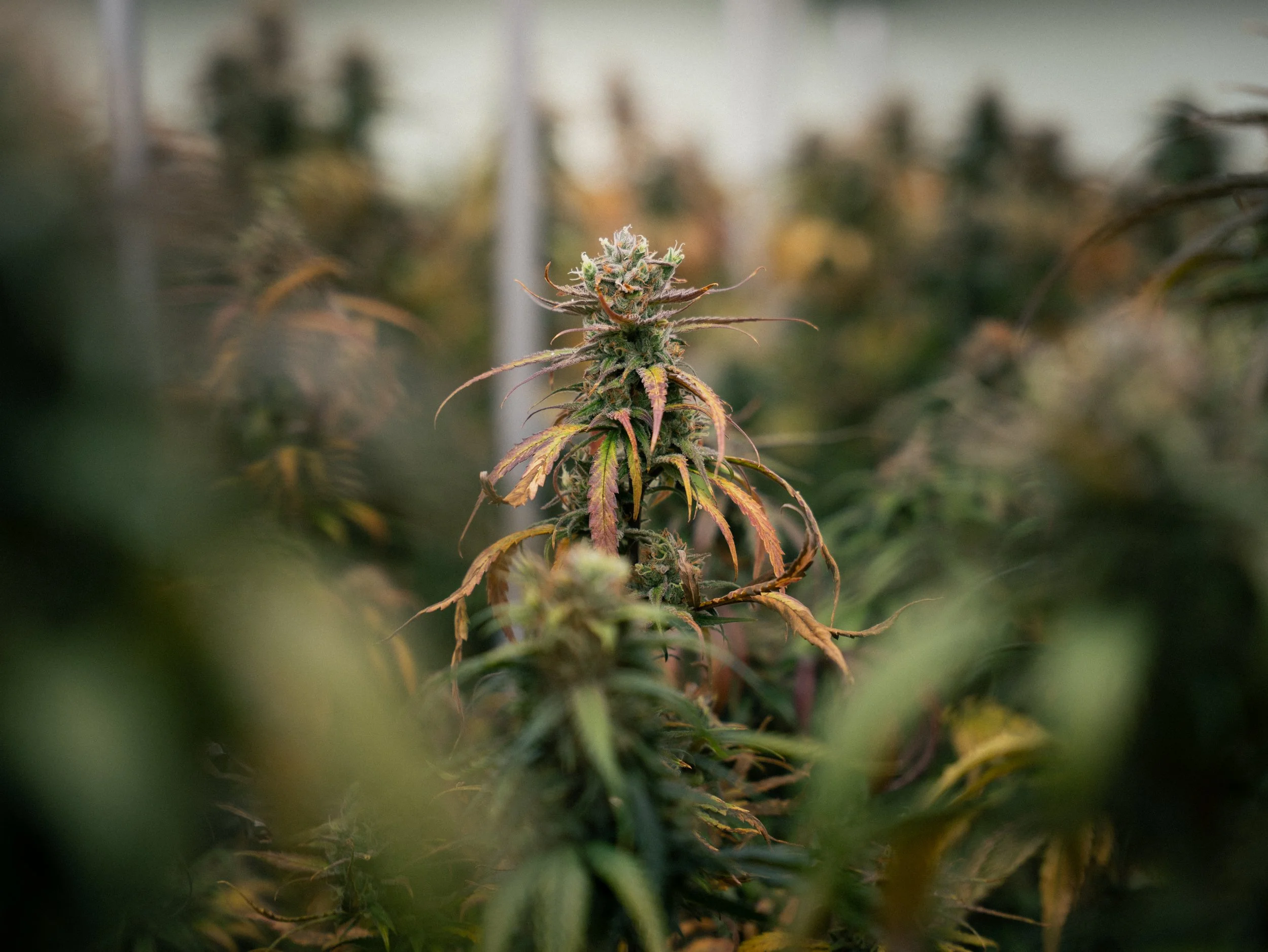 Anlage Endstadion Fotos-4.jpg