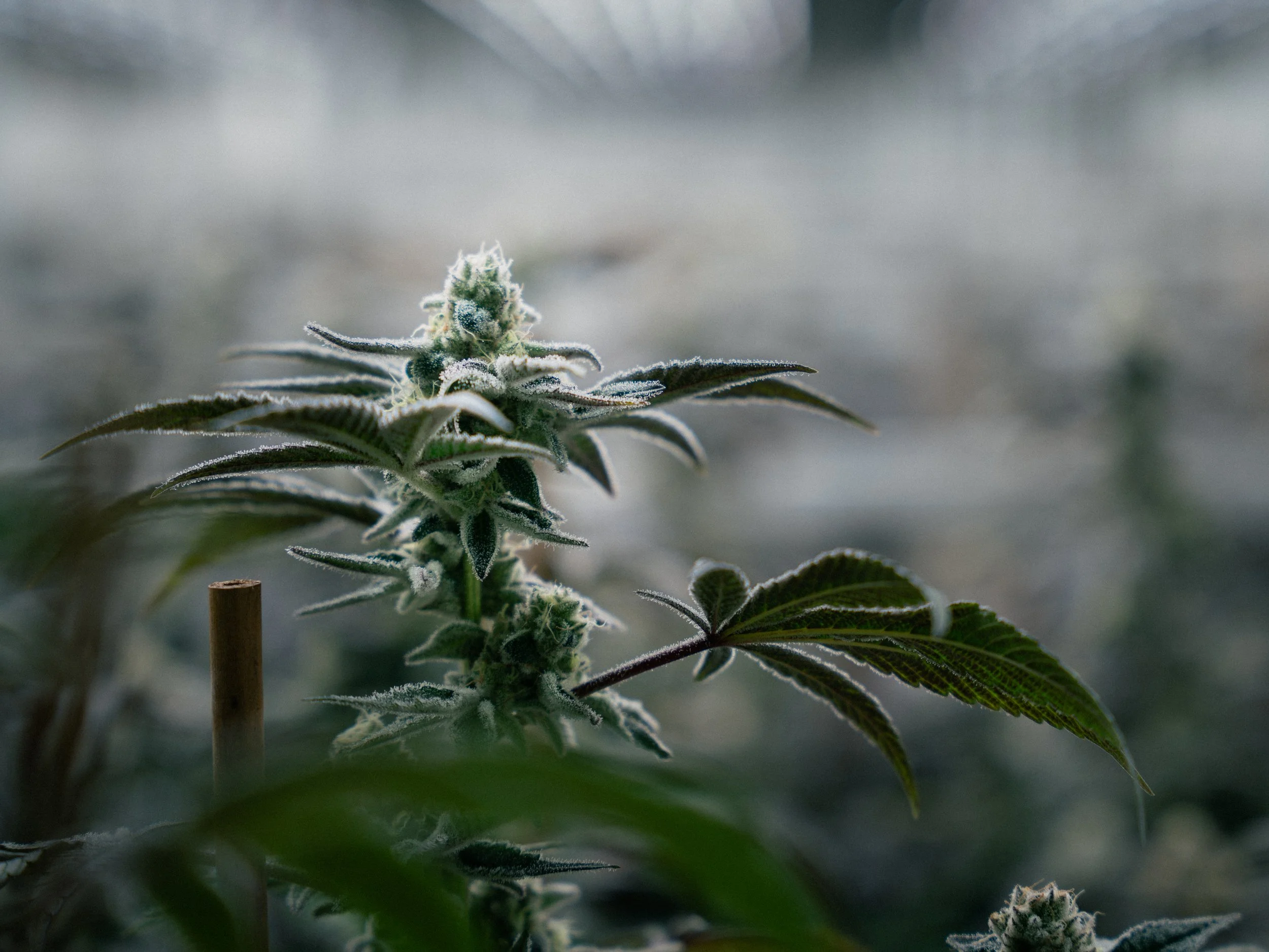 Anlage Endstadion Fotos-9.jpg