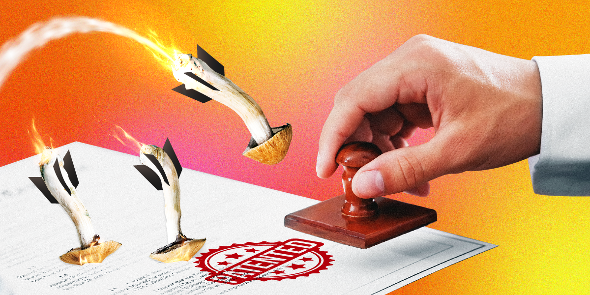 The future of the psychedelics industry hinges on patents. Whoever wins could make billions.