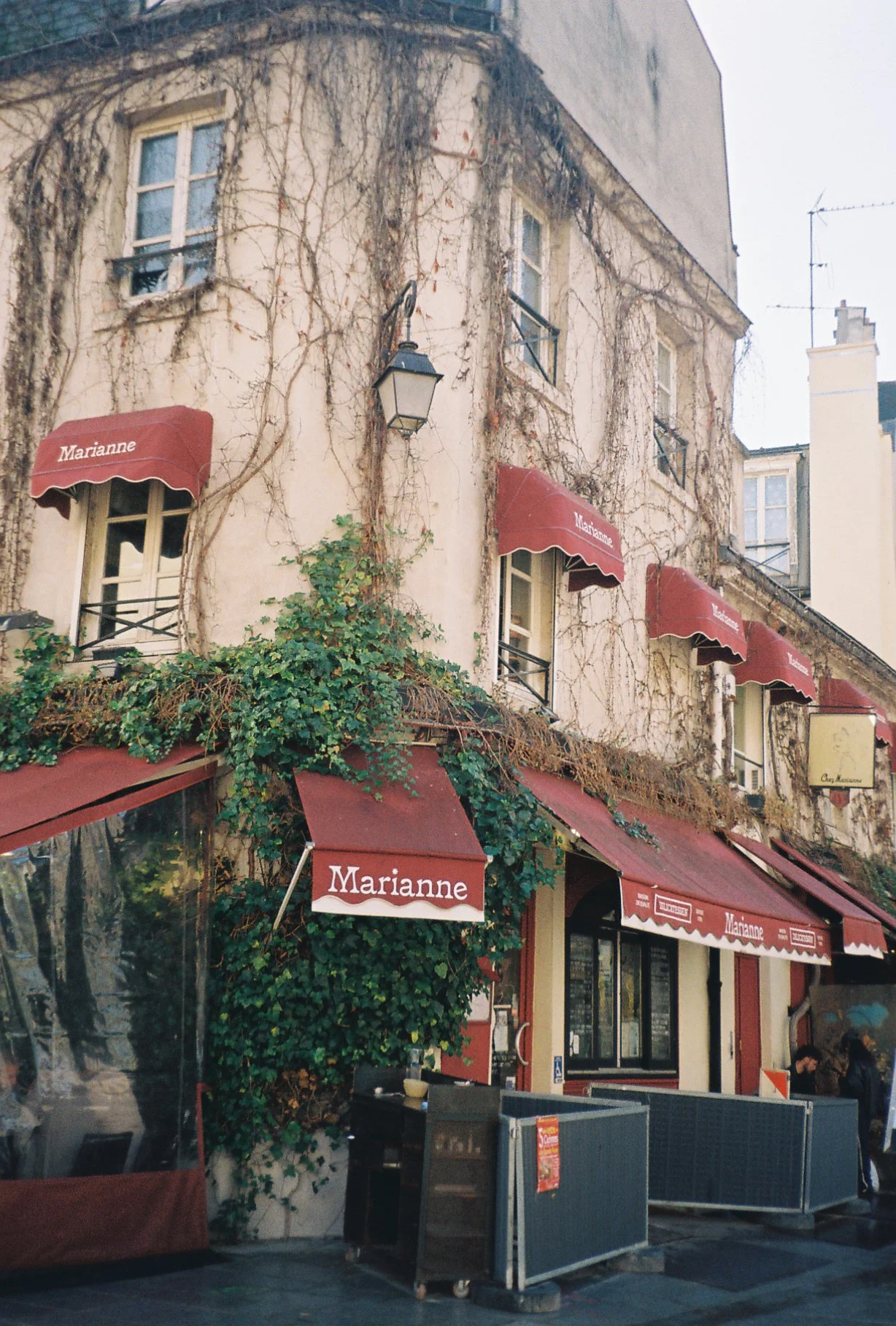 marianne cafe.jpg