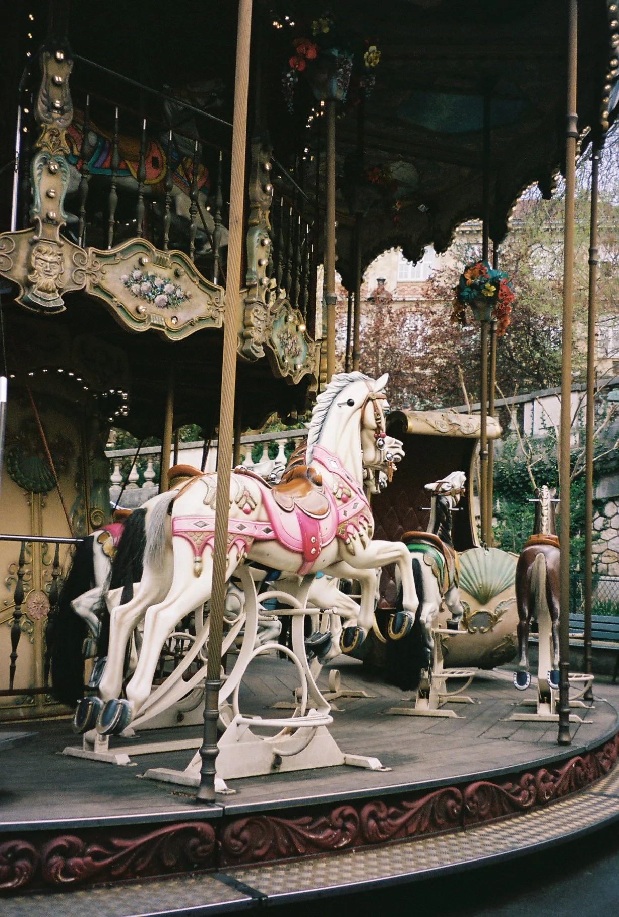 carousel 2.jpg