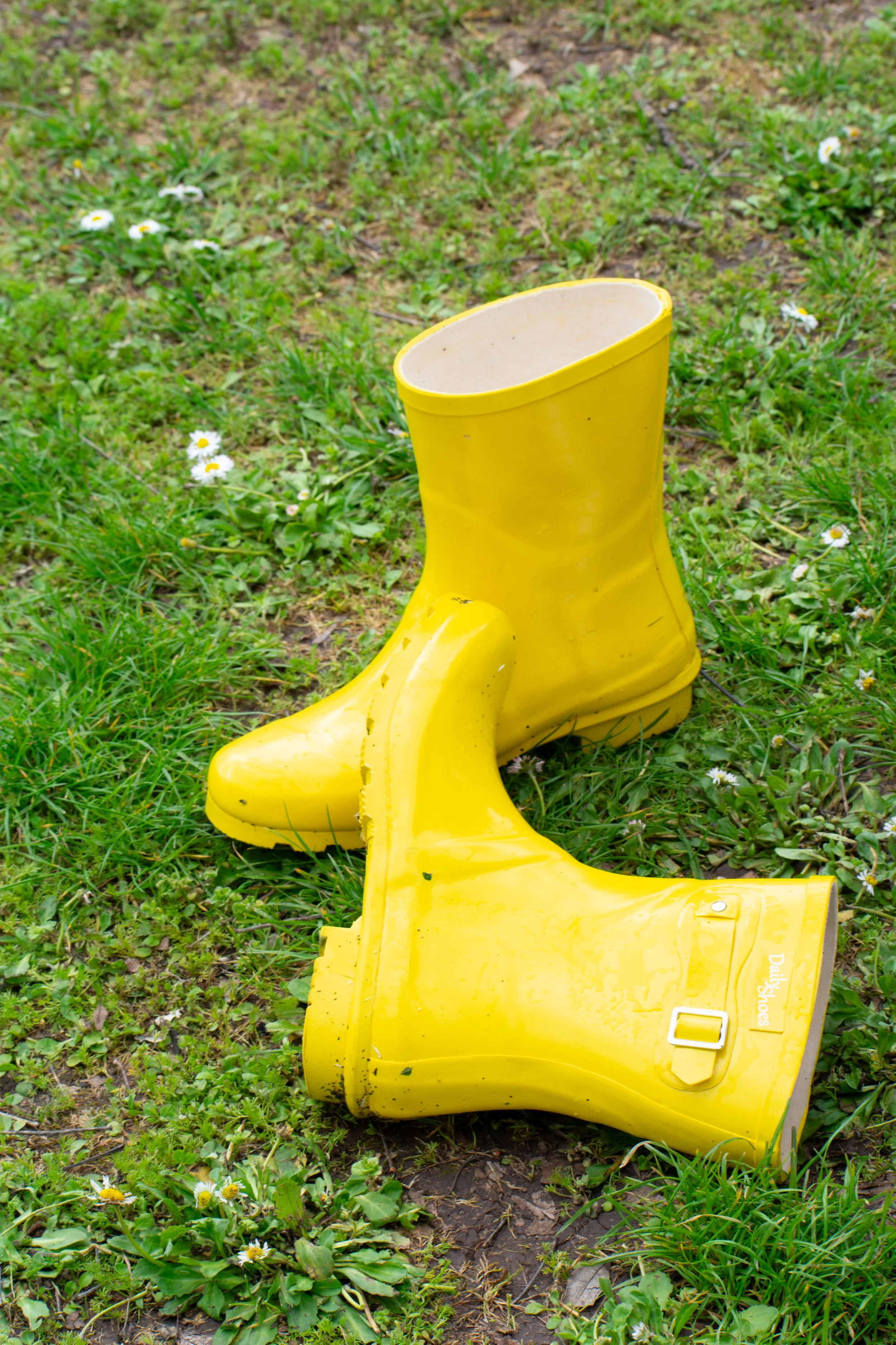 Ayla Fung 3 copy.jpg