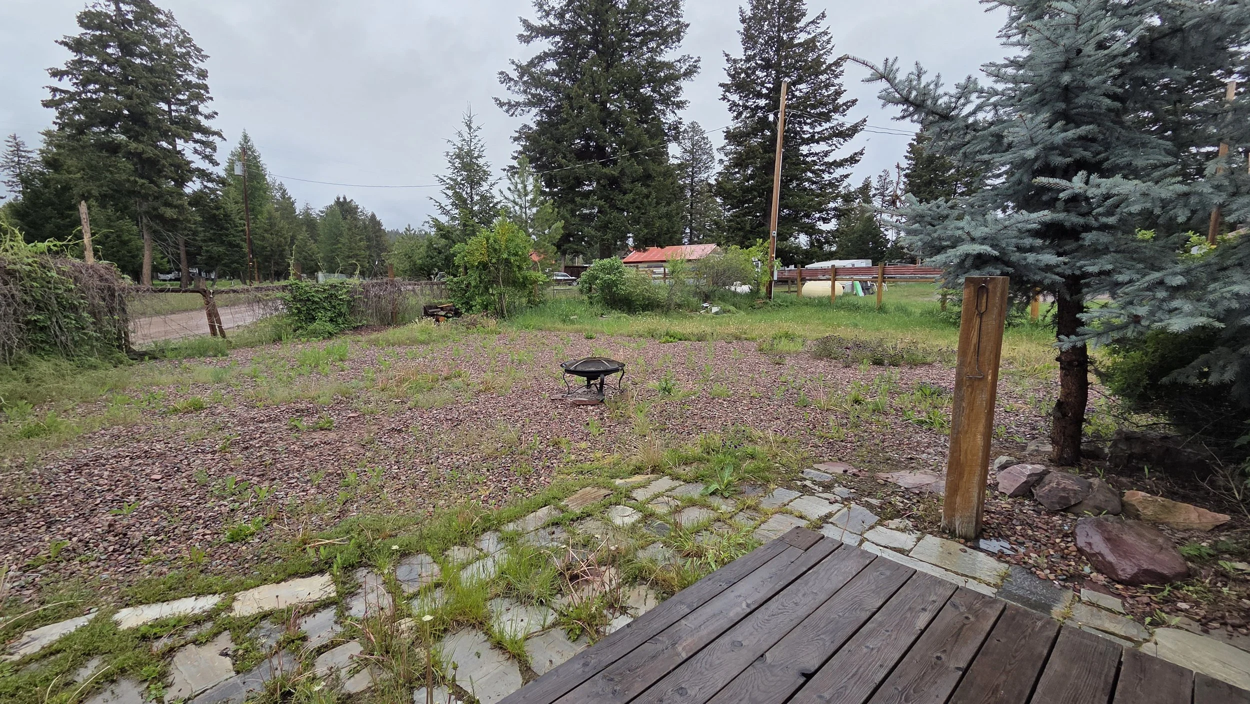 Back Yard