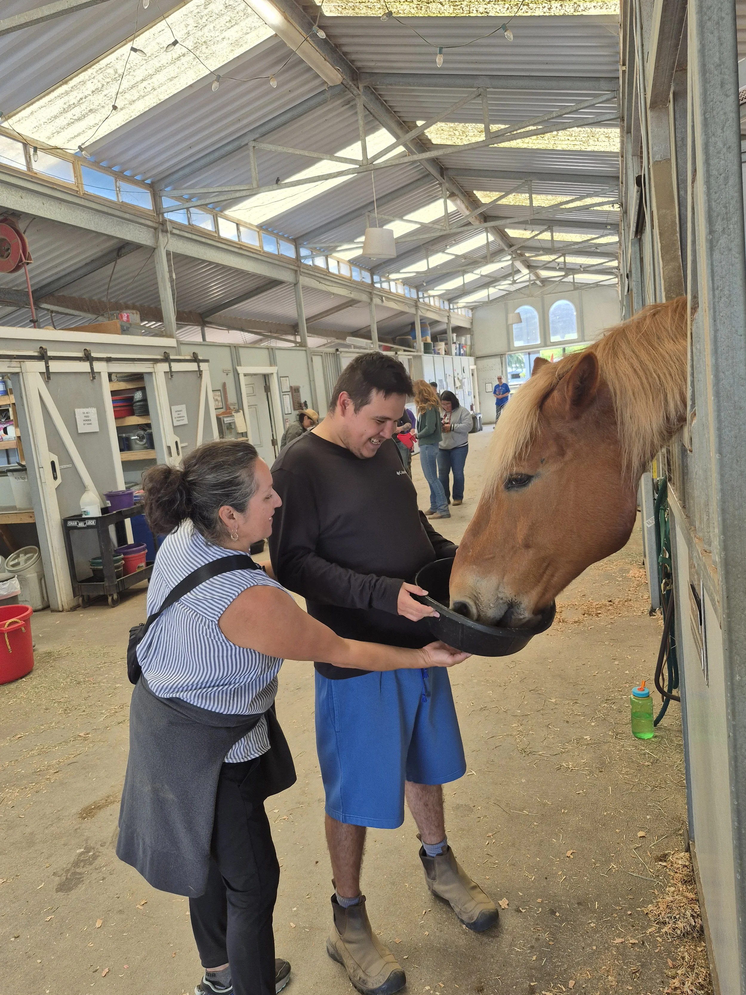 Two people, a woman and a man, feeding a horse in a stable. The woman is holding a black feeding tray while the horse is eating from it. They are inside a barn with other people and horses in the background.