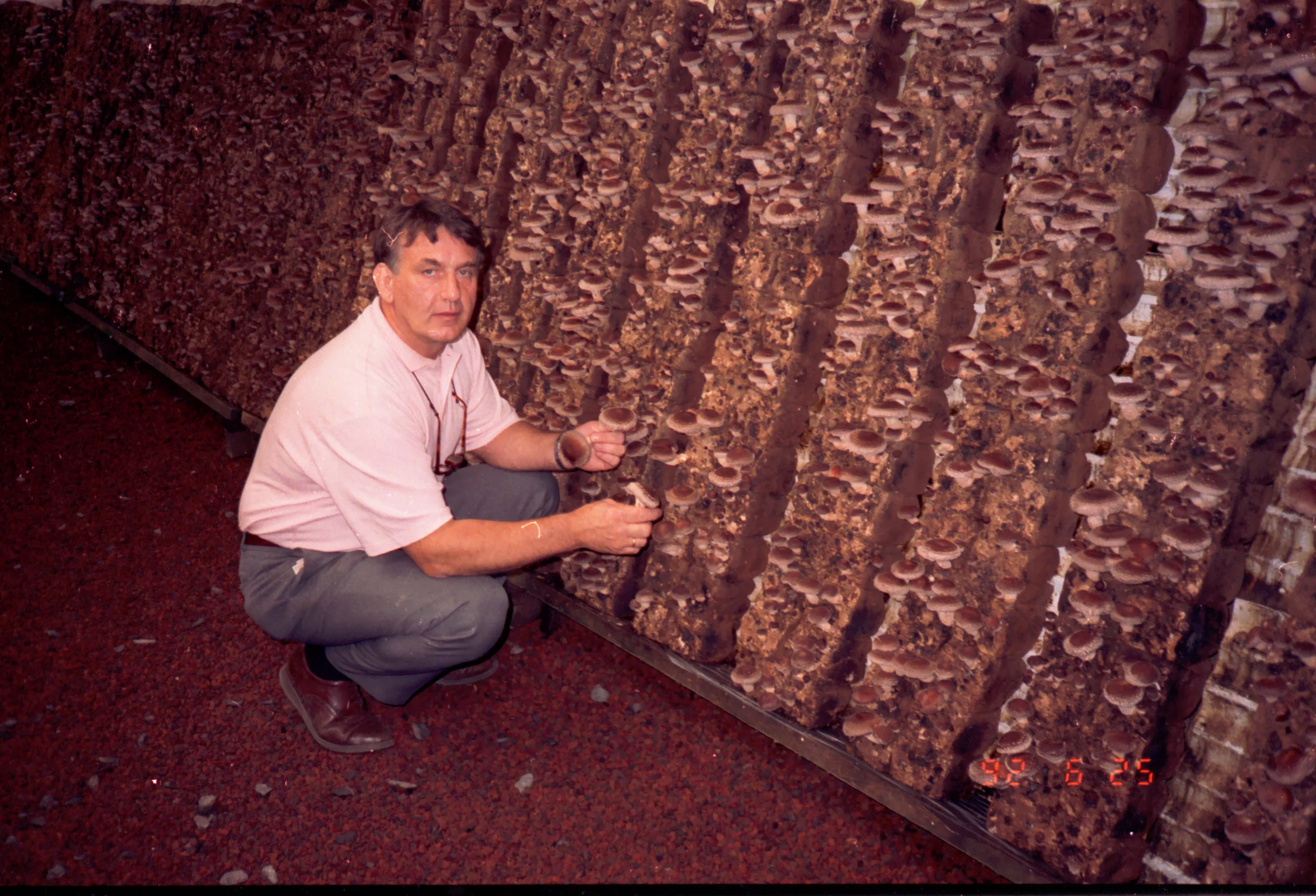  Our original Yoshii-style production system for shiitake 