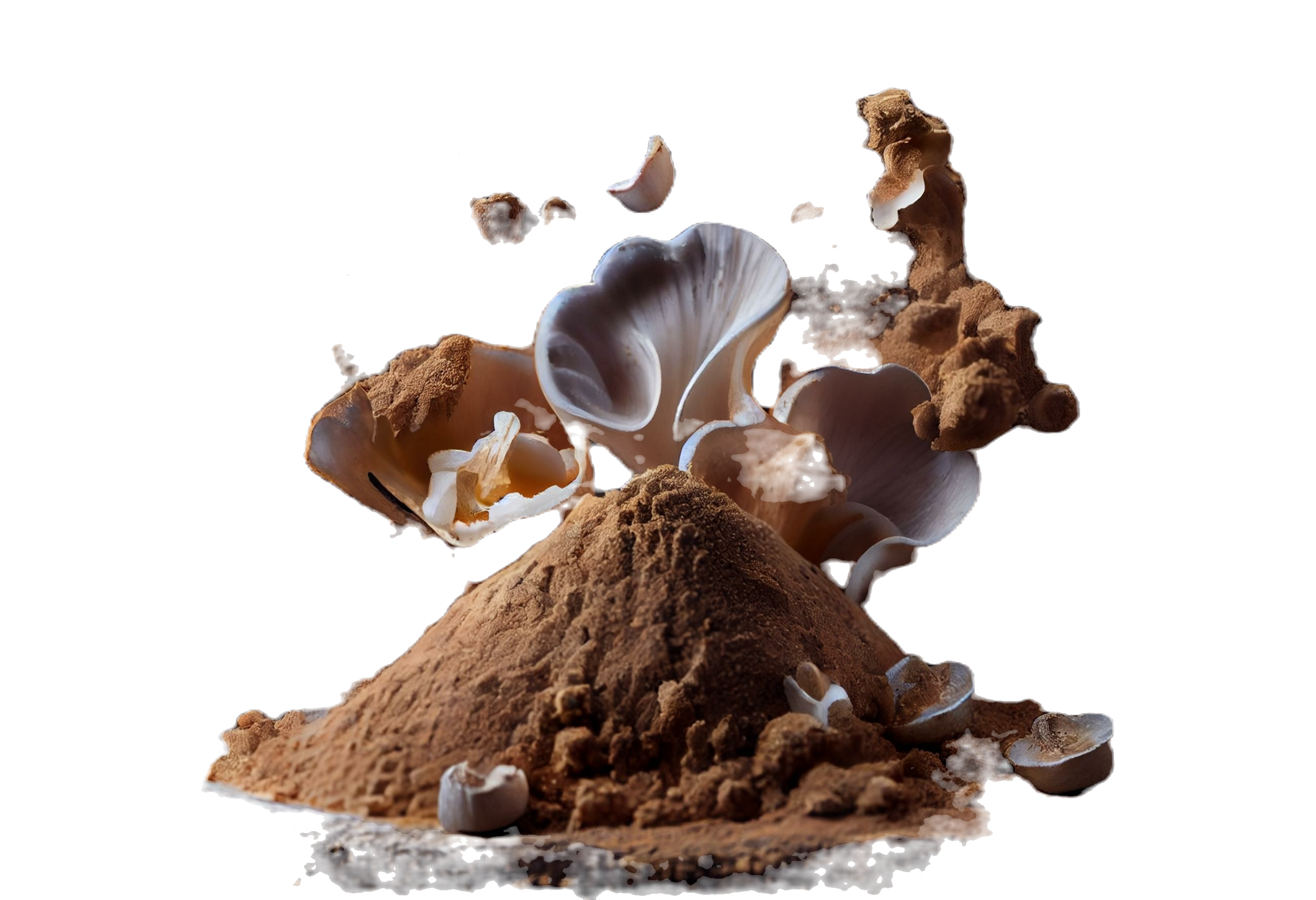 Mushroom powder_edited_edited.png