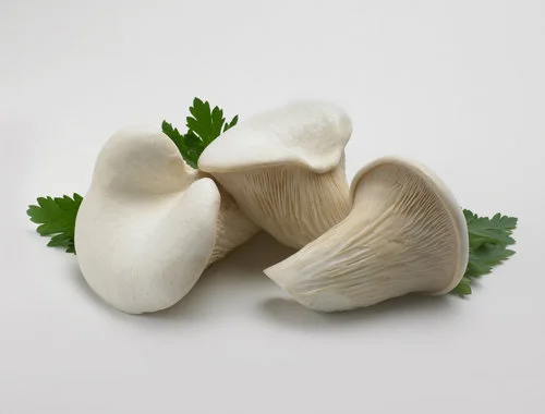 Tilapia with Nebrodini Bianco and Pernod