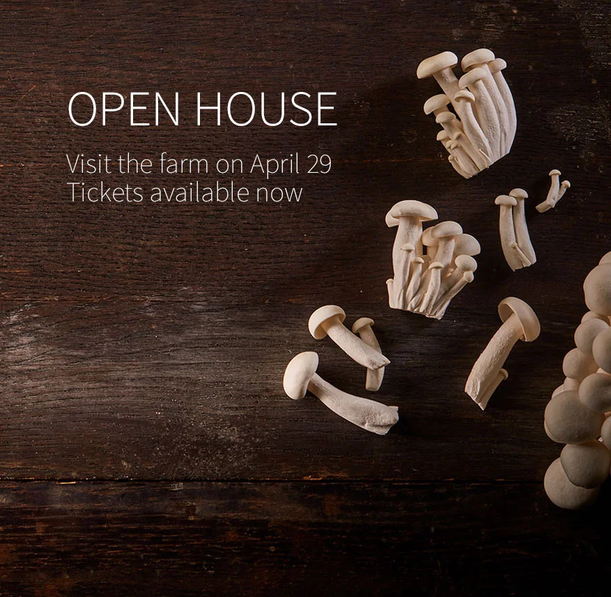 Mycopia's 40th Anniversary Open House