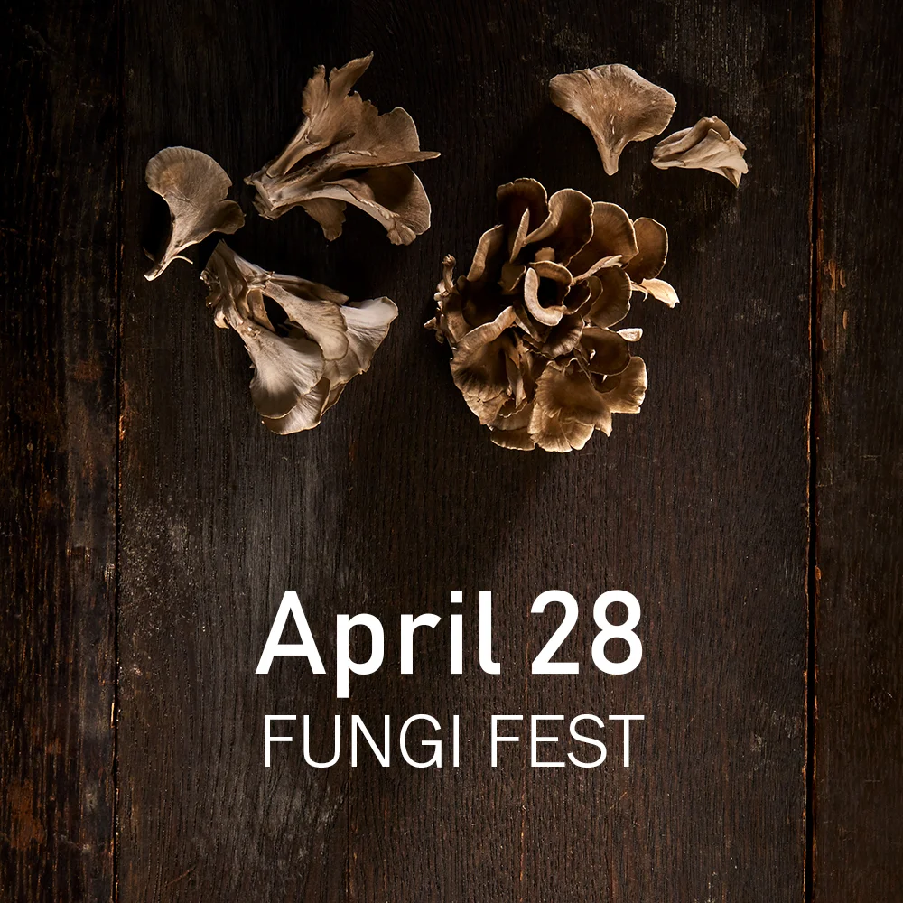 FUNGI FEST 2019