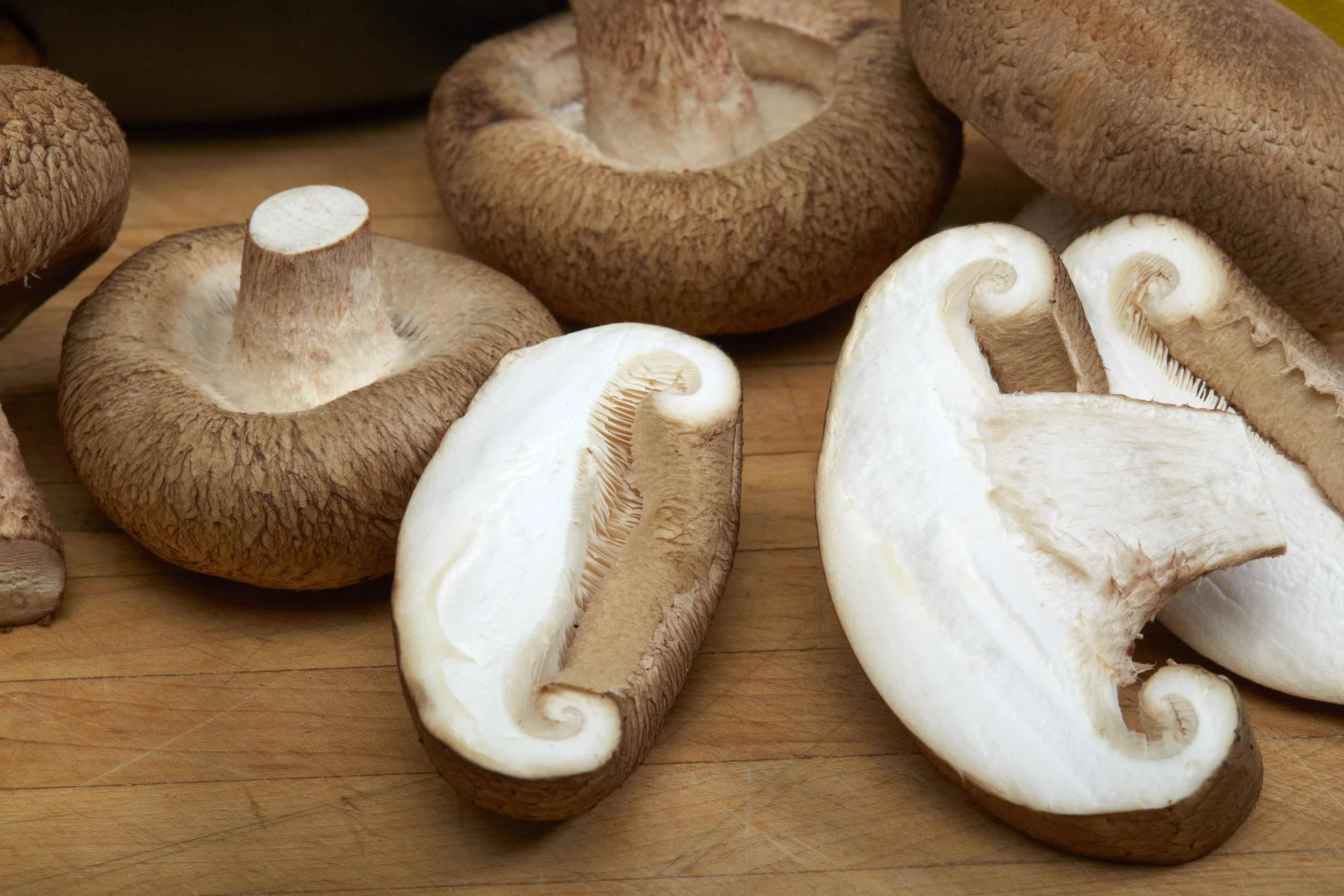 Mycobiotic® LeX Receives FDA NDIN Acceptance