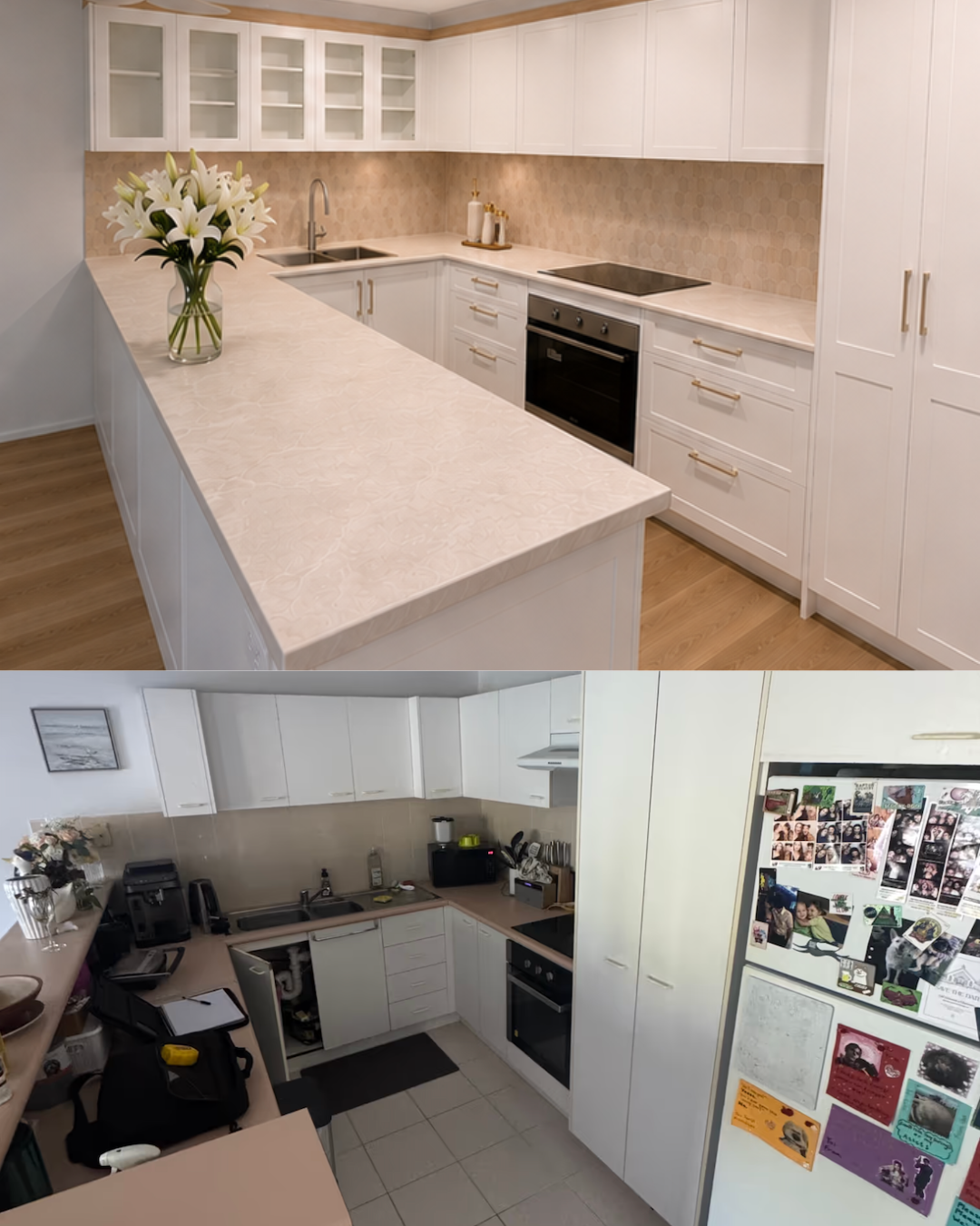 Untitled design (28).png