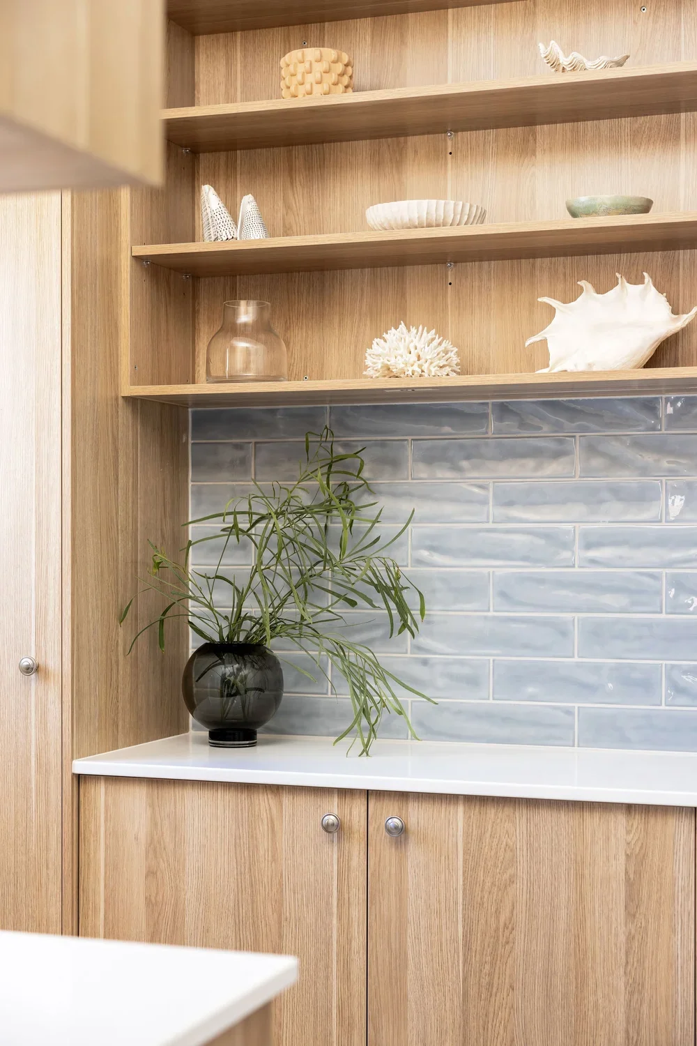 Wooden kitchen cabinet with open shelves displaying seashells and decorative items, a black vase with green leafy plant on white countertop against a blue-gray tiled wall.