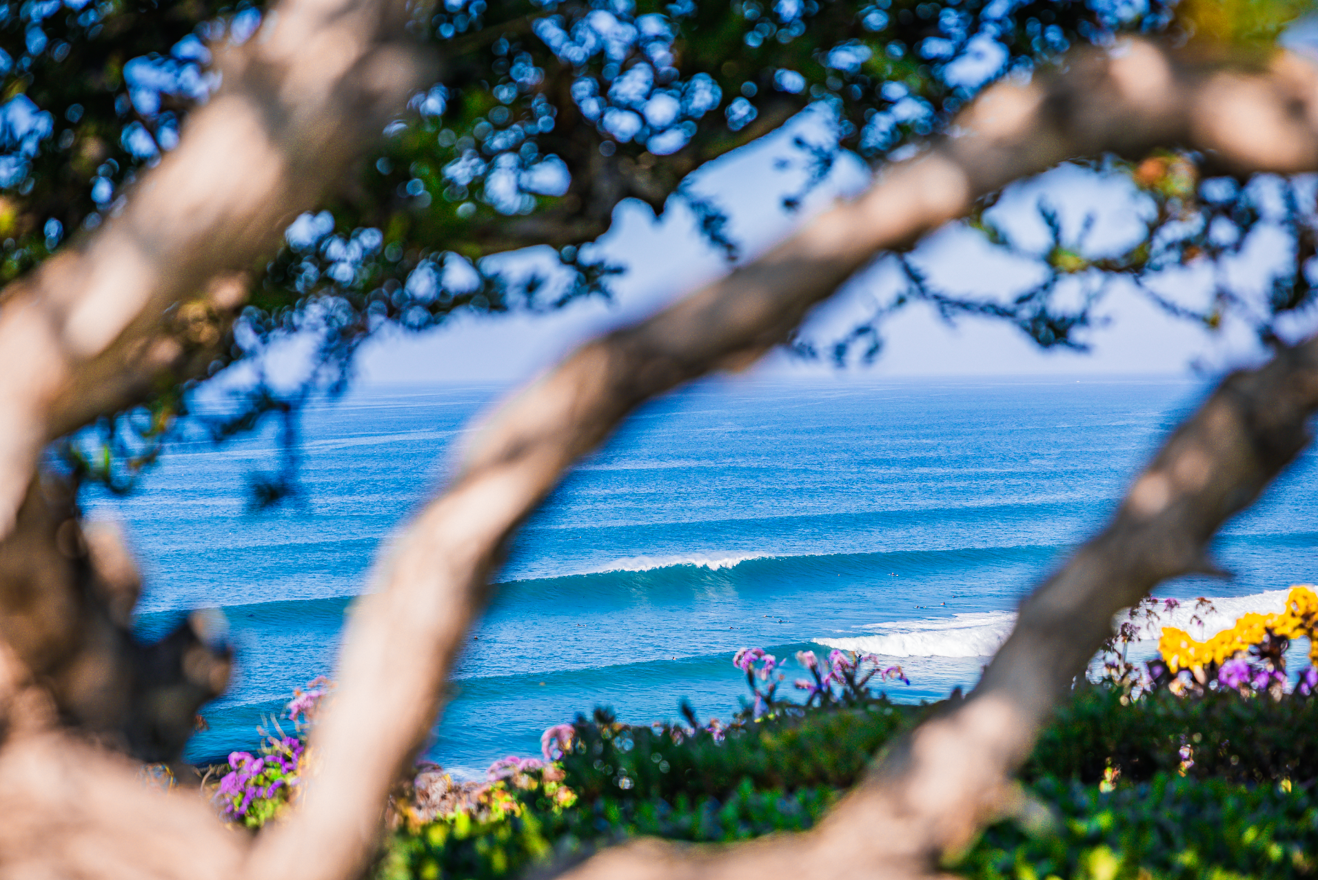 Screenshot 2026-02-08 at 8.42.42 am.png