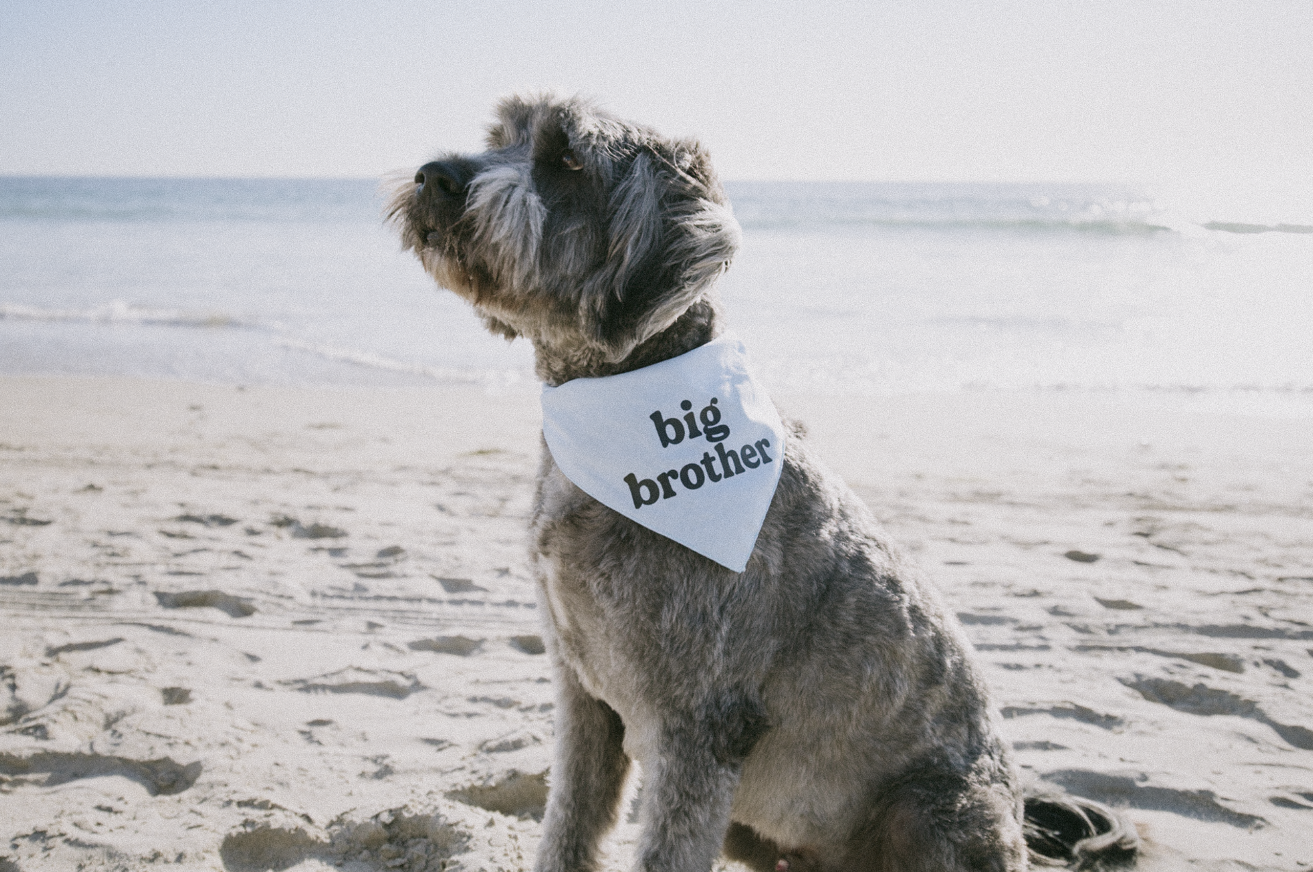 Screenshot 2025-11-25 at 9.45.24 am.png