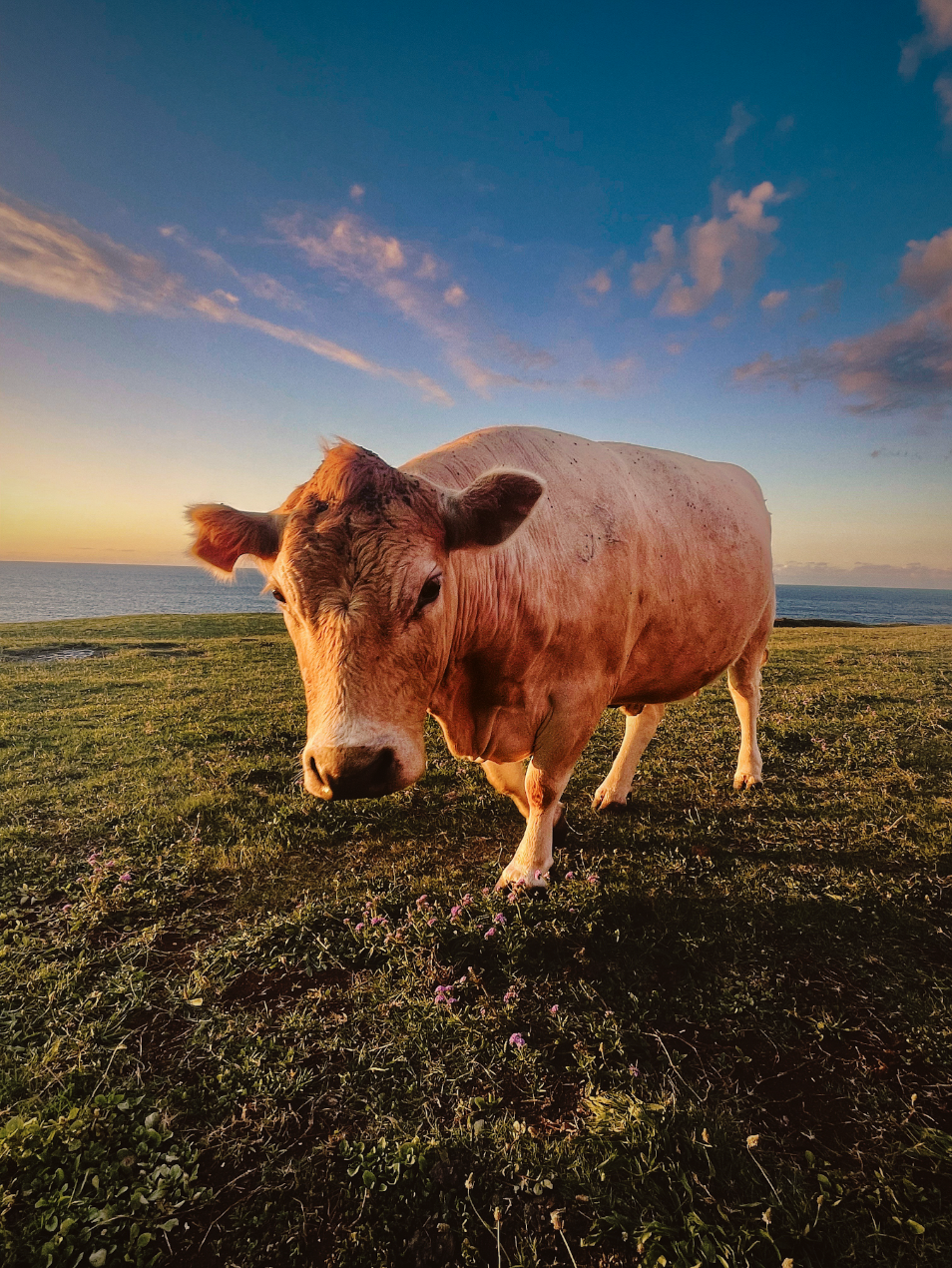 Screenshot 2025-11-23 at 12.57.09 pm.png