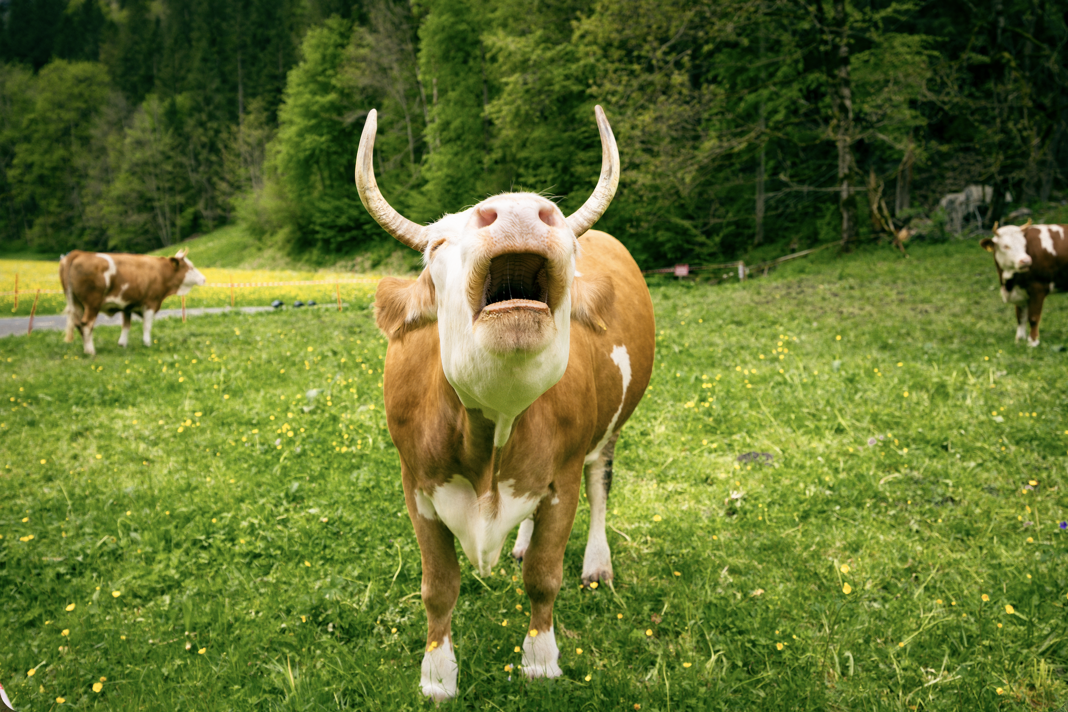 Screenshot 2025-11-23 at 1.32.31 pm.png