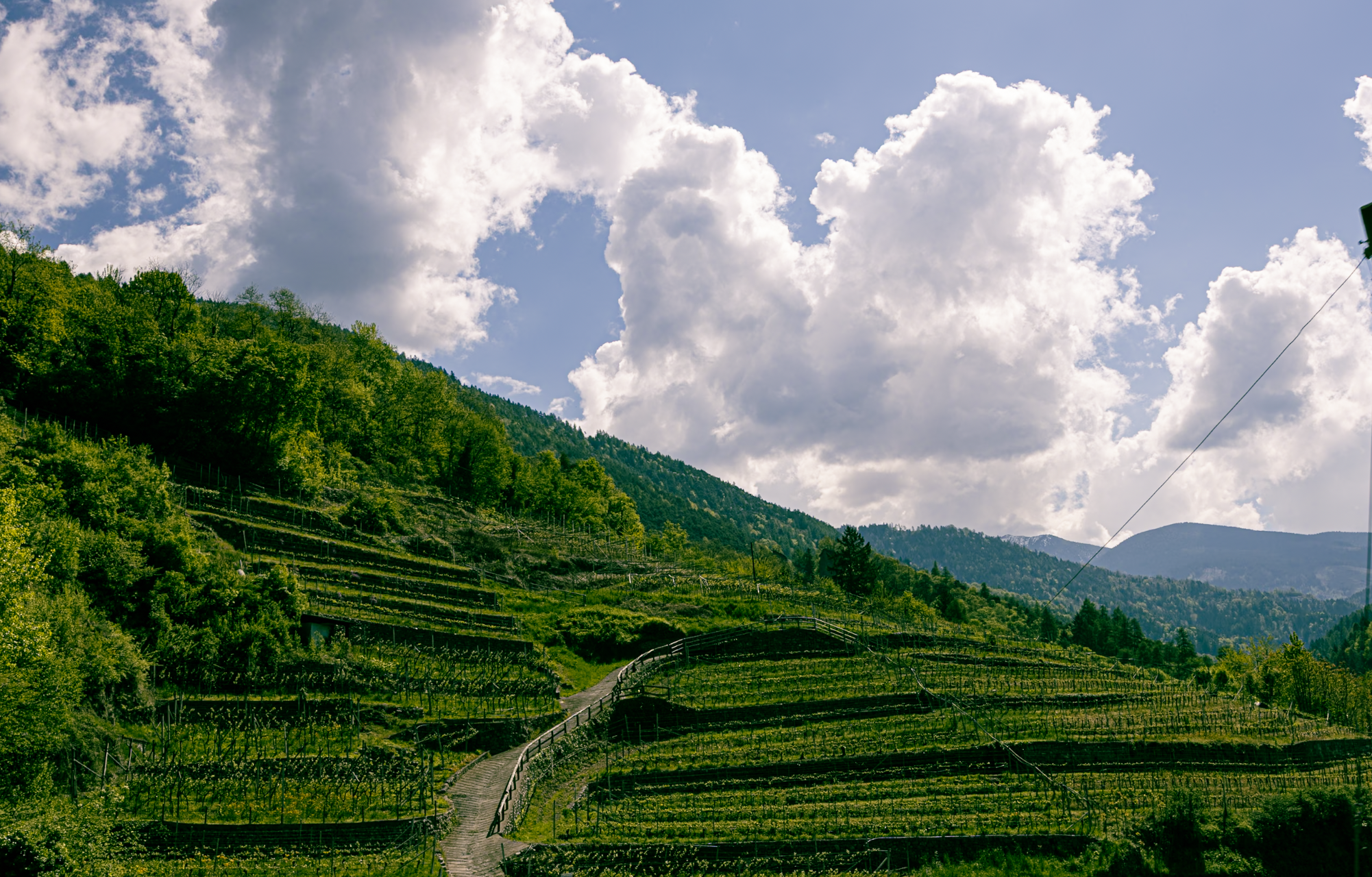 Screenshot 2026-02-15 at 3.23.33 PM.png