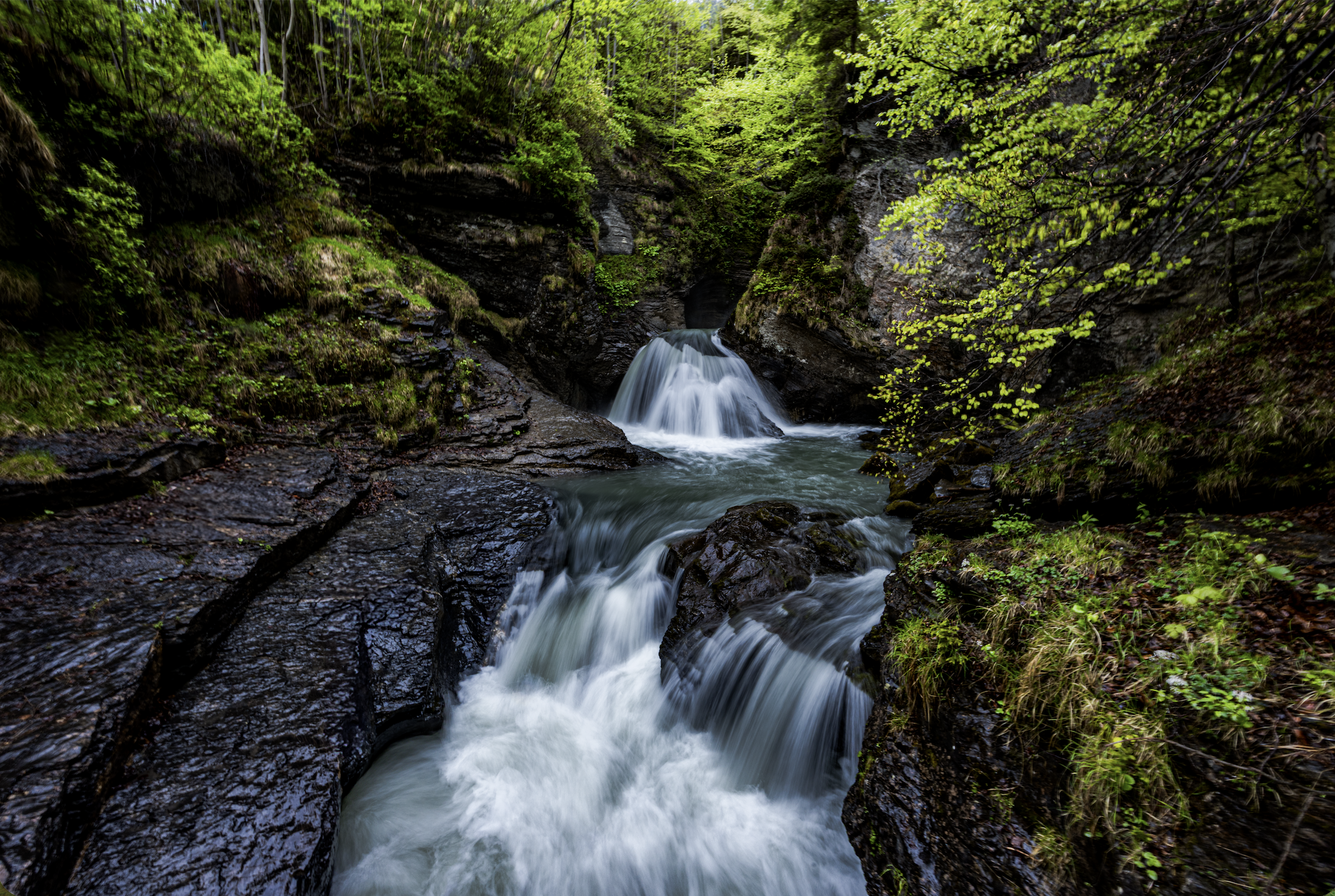 Screenshot 2025-11-23 at 1.32.05 pm.png