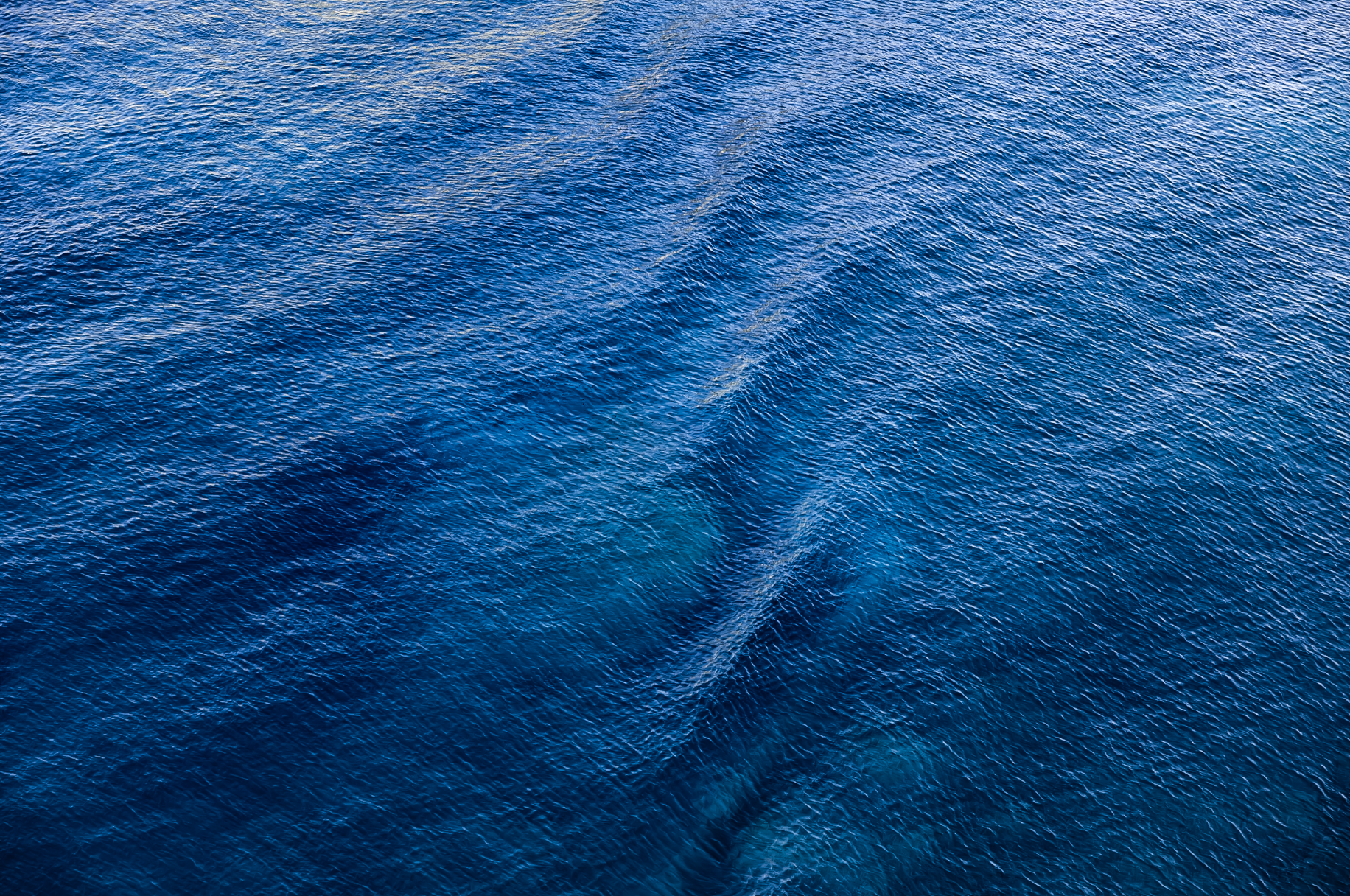 Screenshot 2026-02-16 at 4.30.14 PM.png