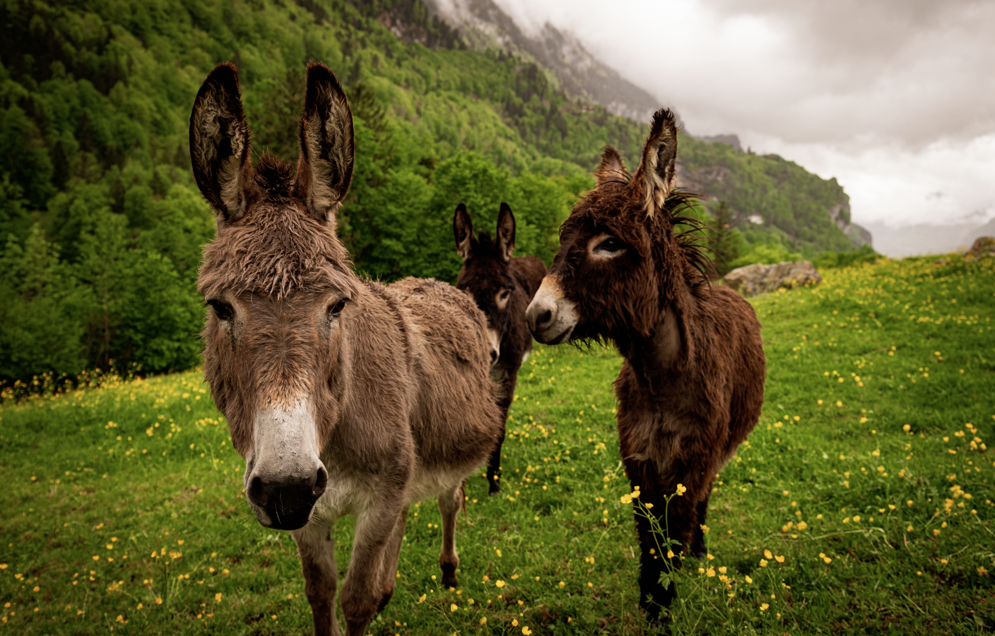 Screenshot 2026-02-15 at 3.24.29 PM.png