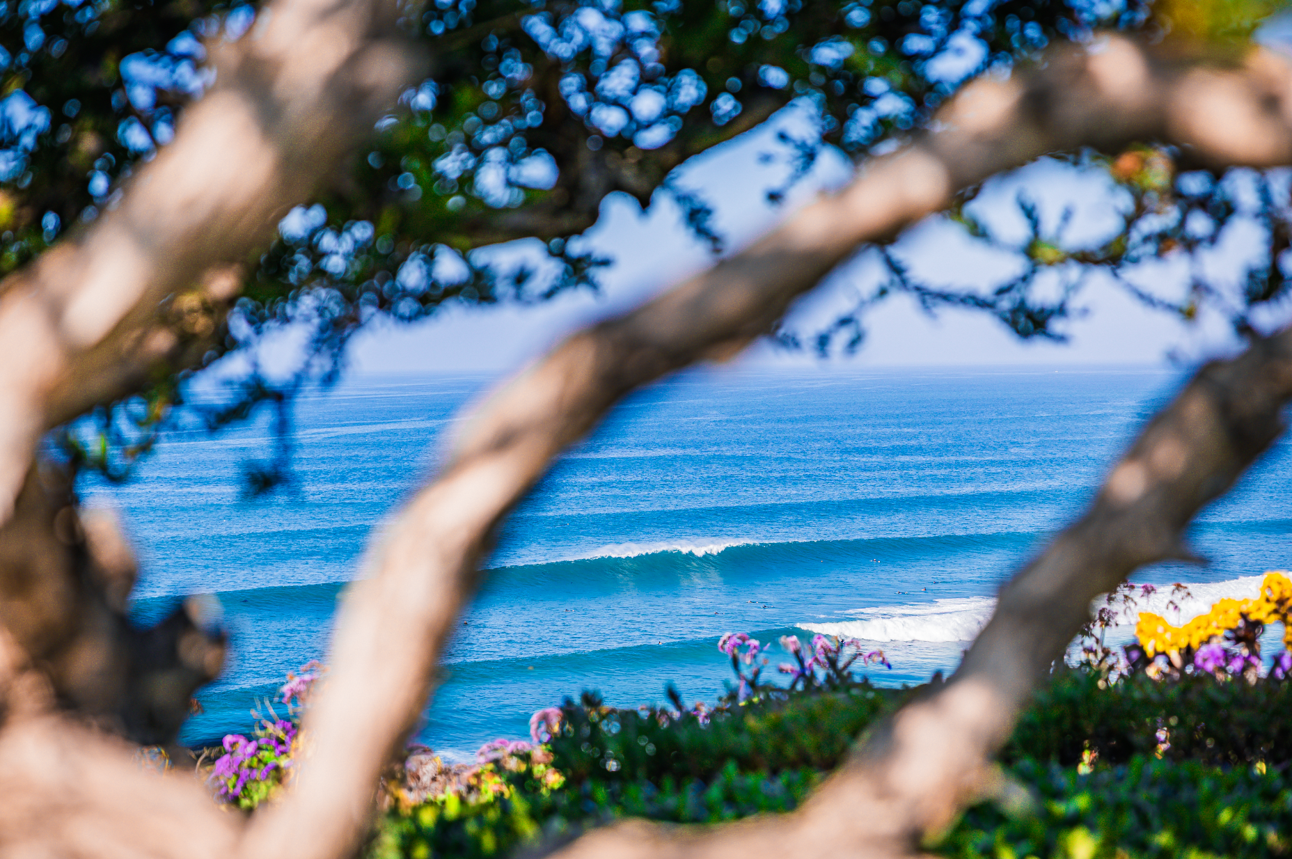 Screenshot 2026-02-16 at 5.12.40 PM.png