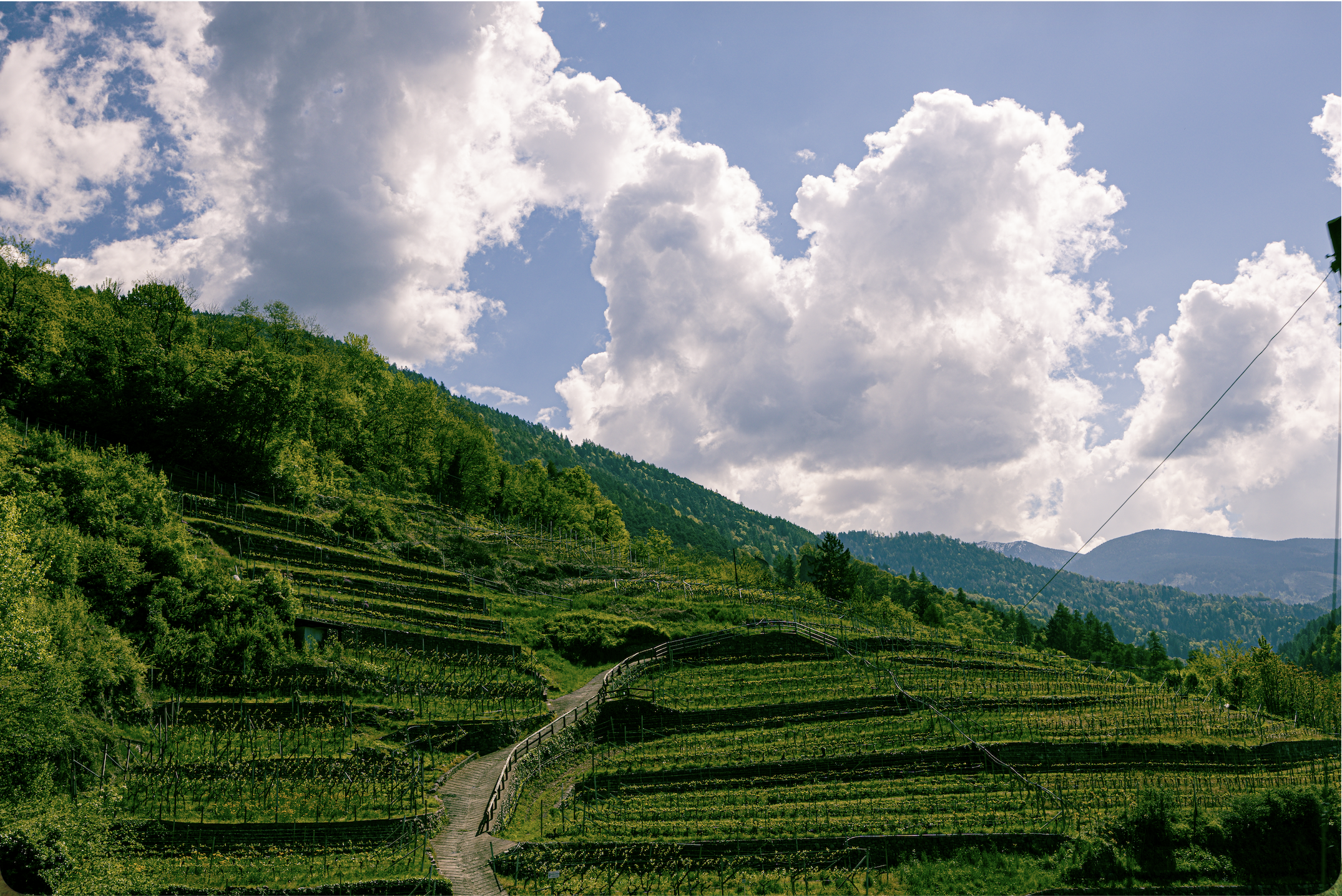 Screenshot 2025-11-23 at 2.25.12 pm.png