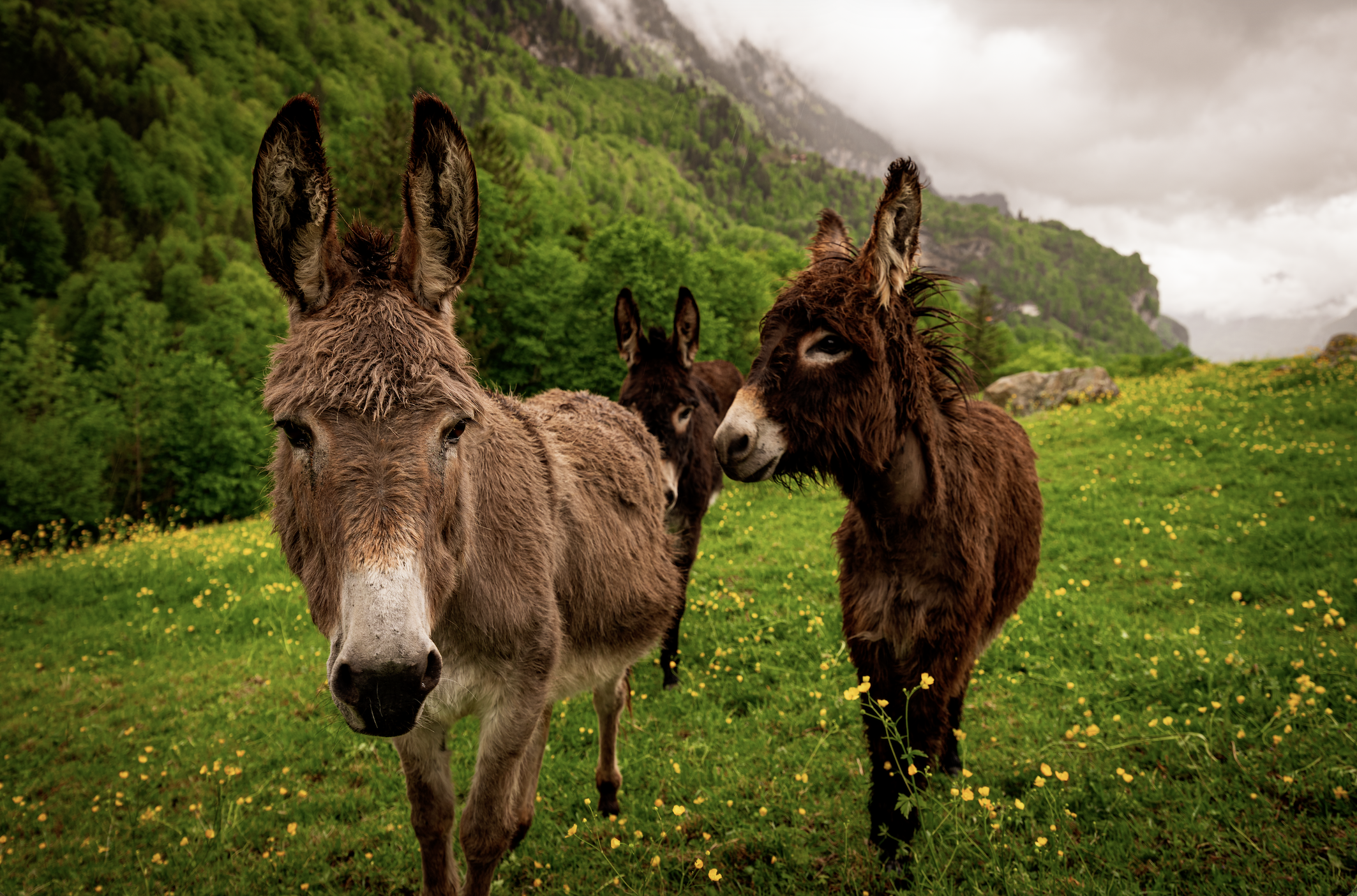 Screenshot 2025-11-22 at 1.54.55 pm.png