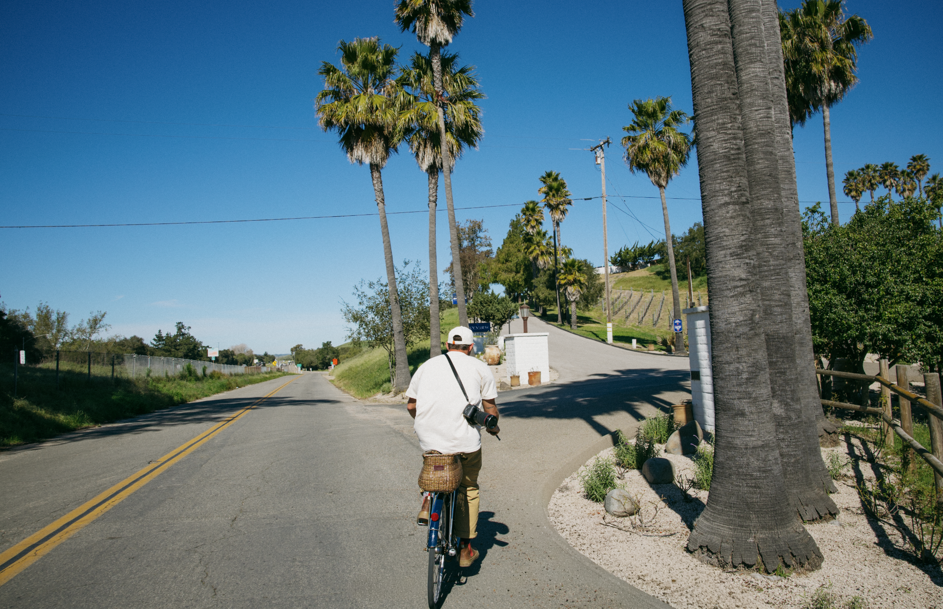 Screenshot 2026-03-10 at 12.41.56 PM.png