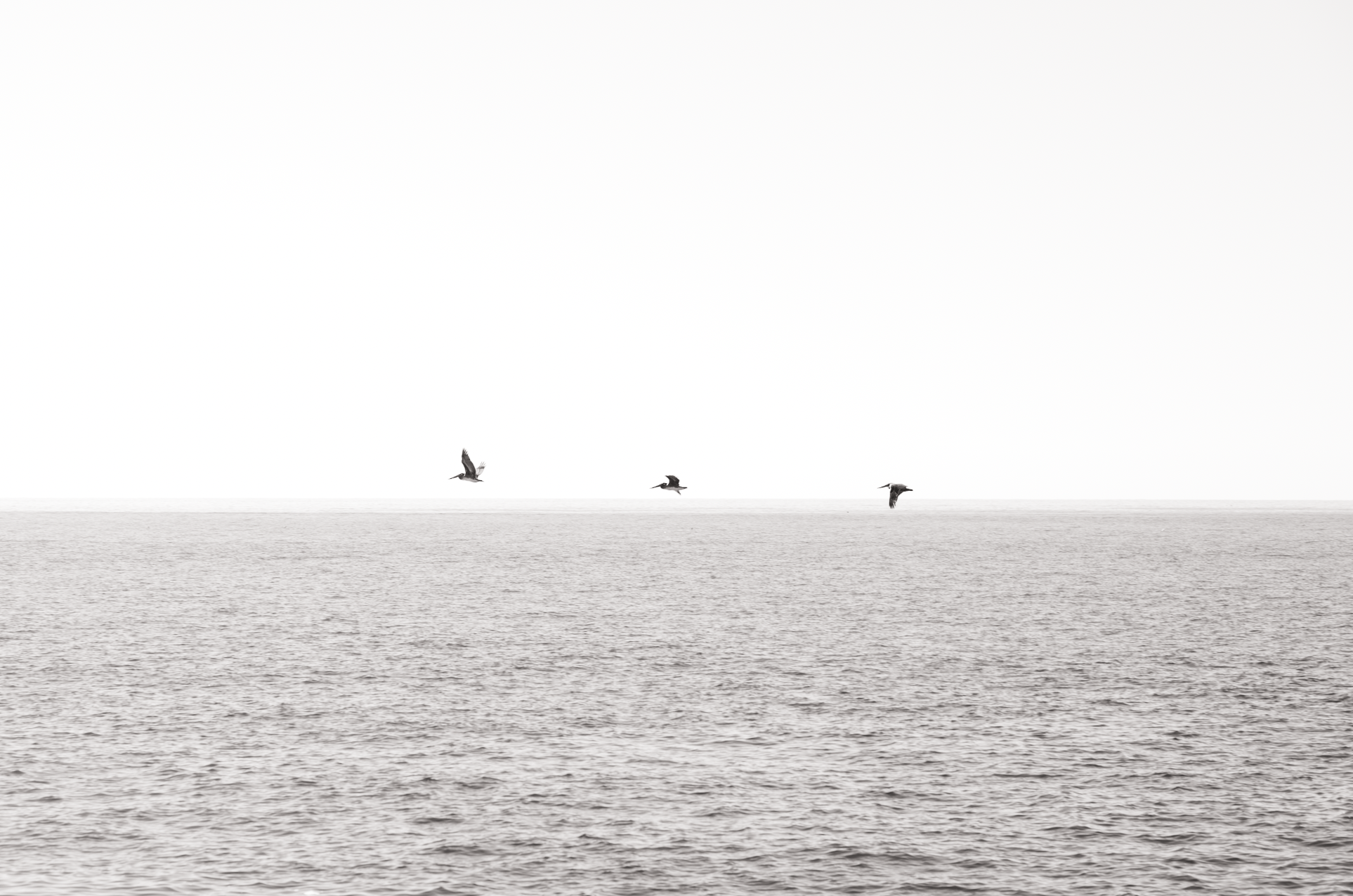 Screenshot 2026-02-16 at 5.36.52 PM.png