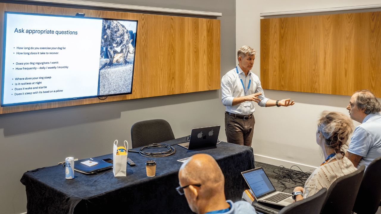 Dr Arthur House presenting on complex Brachycephalic Obstructive Airway Syndrome (BOAS) assessment and surgical management at the 2026 ECVS Meet the Expert programme.