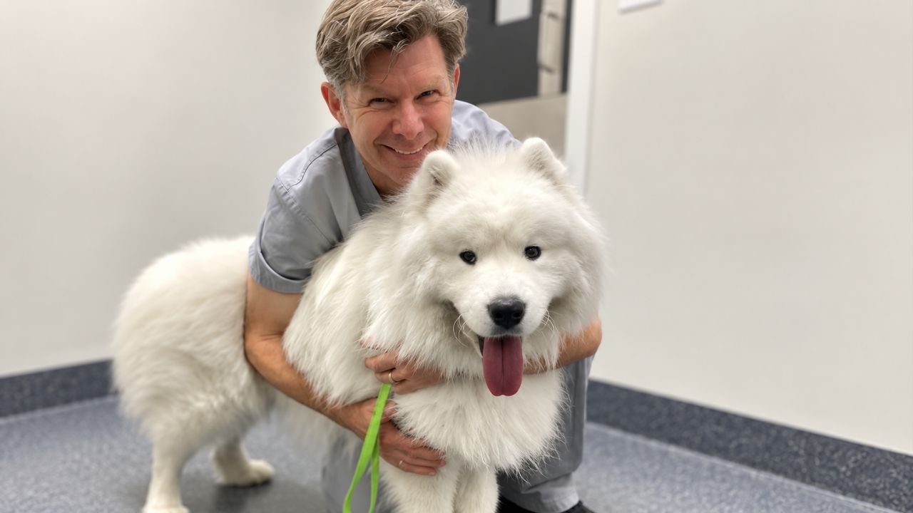 Dr Arthur House, Small Animal Surgery Specialist, with Zuko the Samoyed following total hip replacement surgery for hip dysplasia