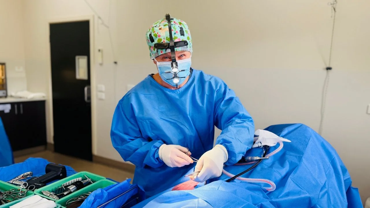 Dr Arthur House, Small Animal Surgery Specialist, performing veterinary surgery in Melbourne