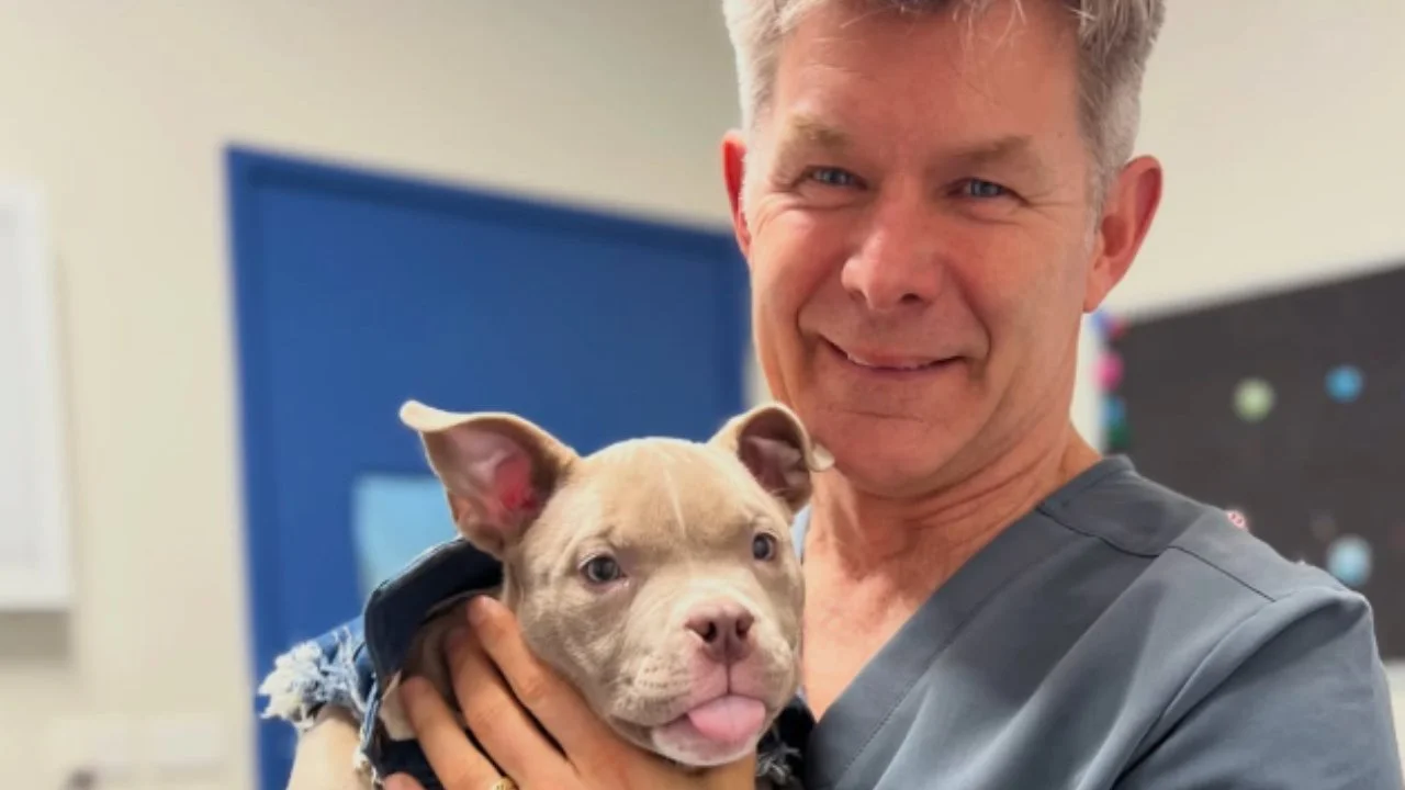 Dr Arthur House, Small Animal Surgery Specialist, with Praline, a dog born with a hypoplastic soft palate
