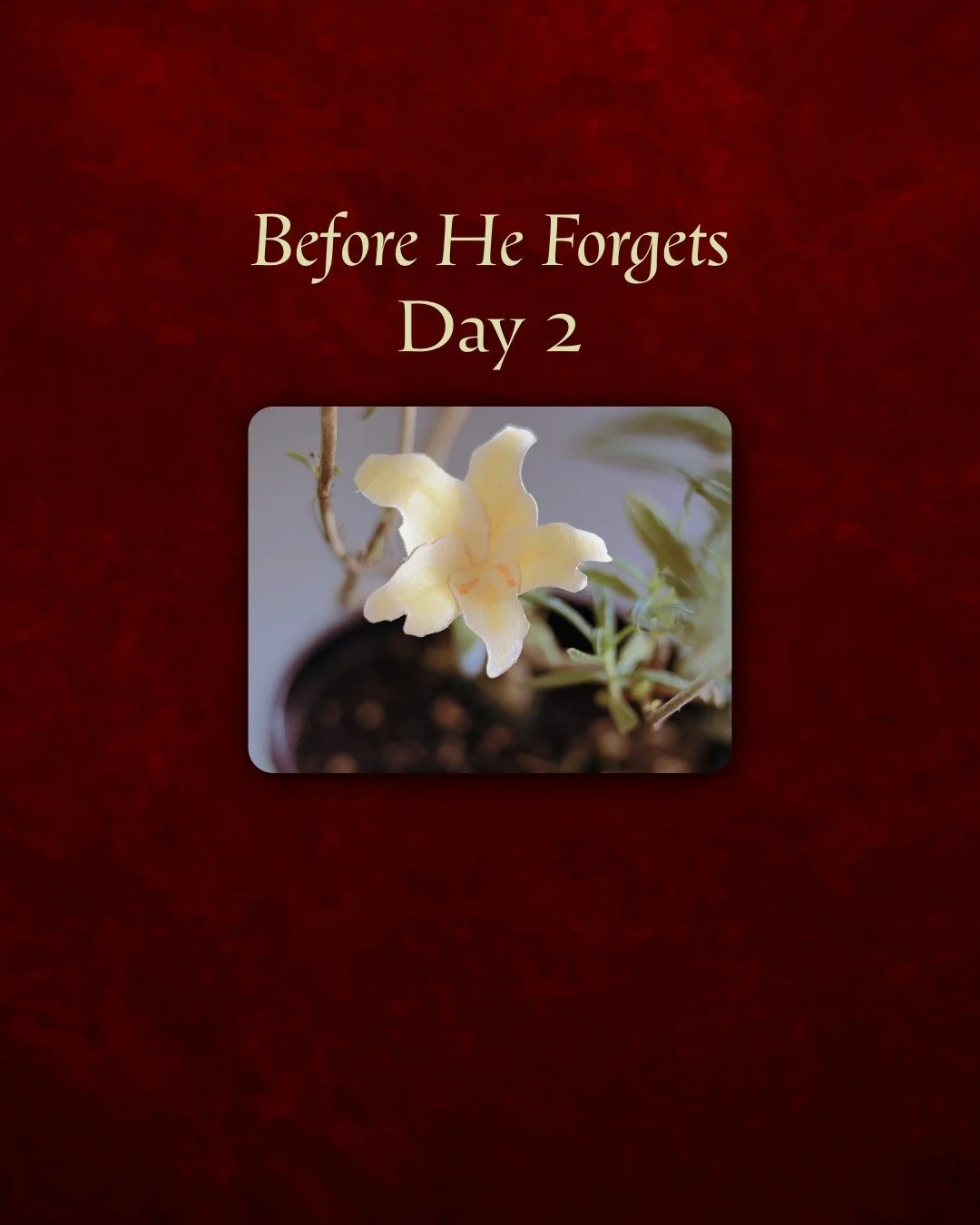 One month since wrap day! 

Once again, thank you to everyone who has supported this film. We can't wait for you to see the finished product. Until then, here's a look back on our final day on set. 

📸 photos taken by Kristina Lewis
