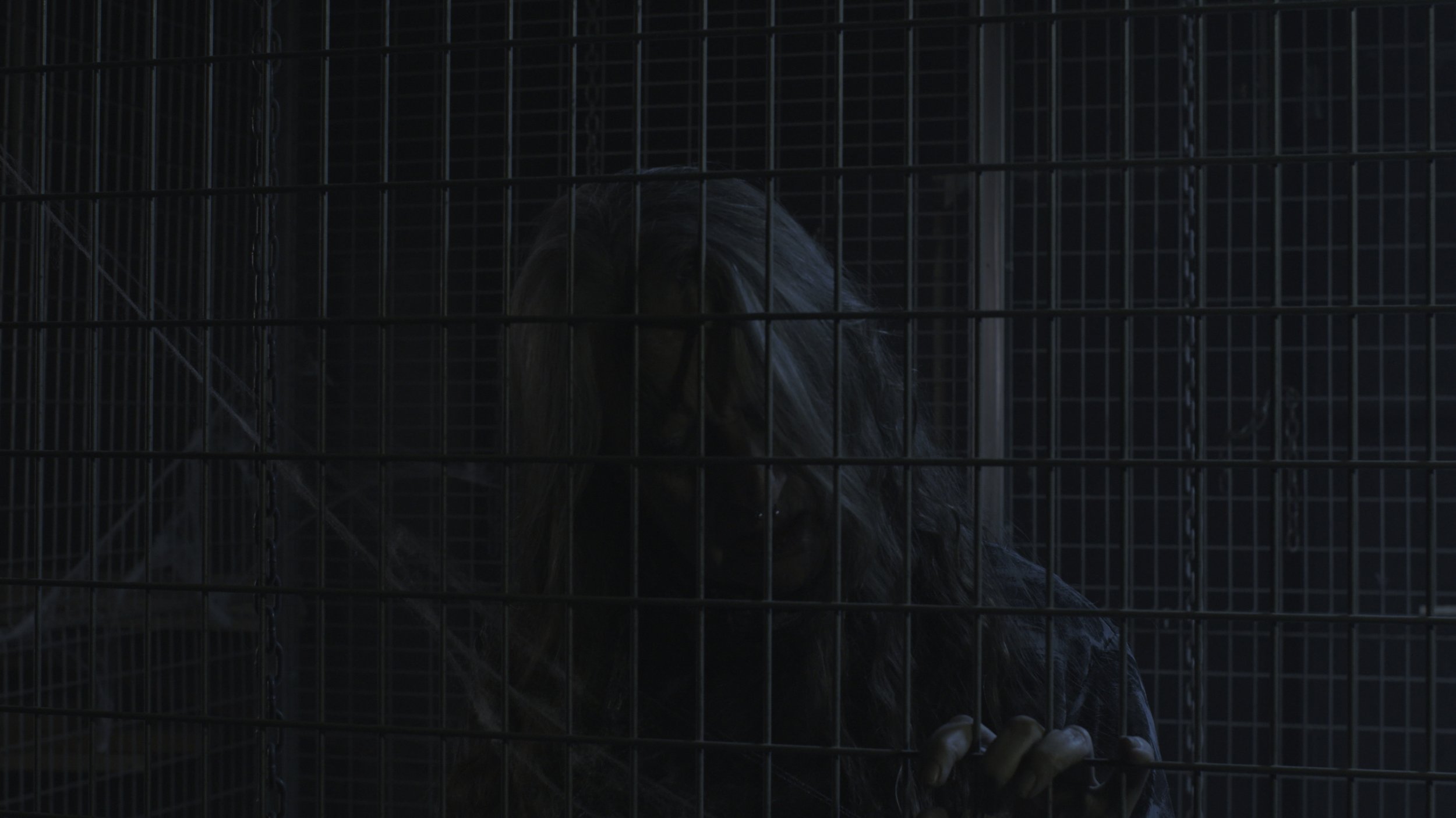 Still 2025-12-29 234253_1.46.1.jpg