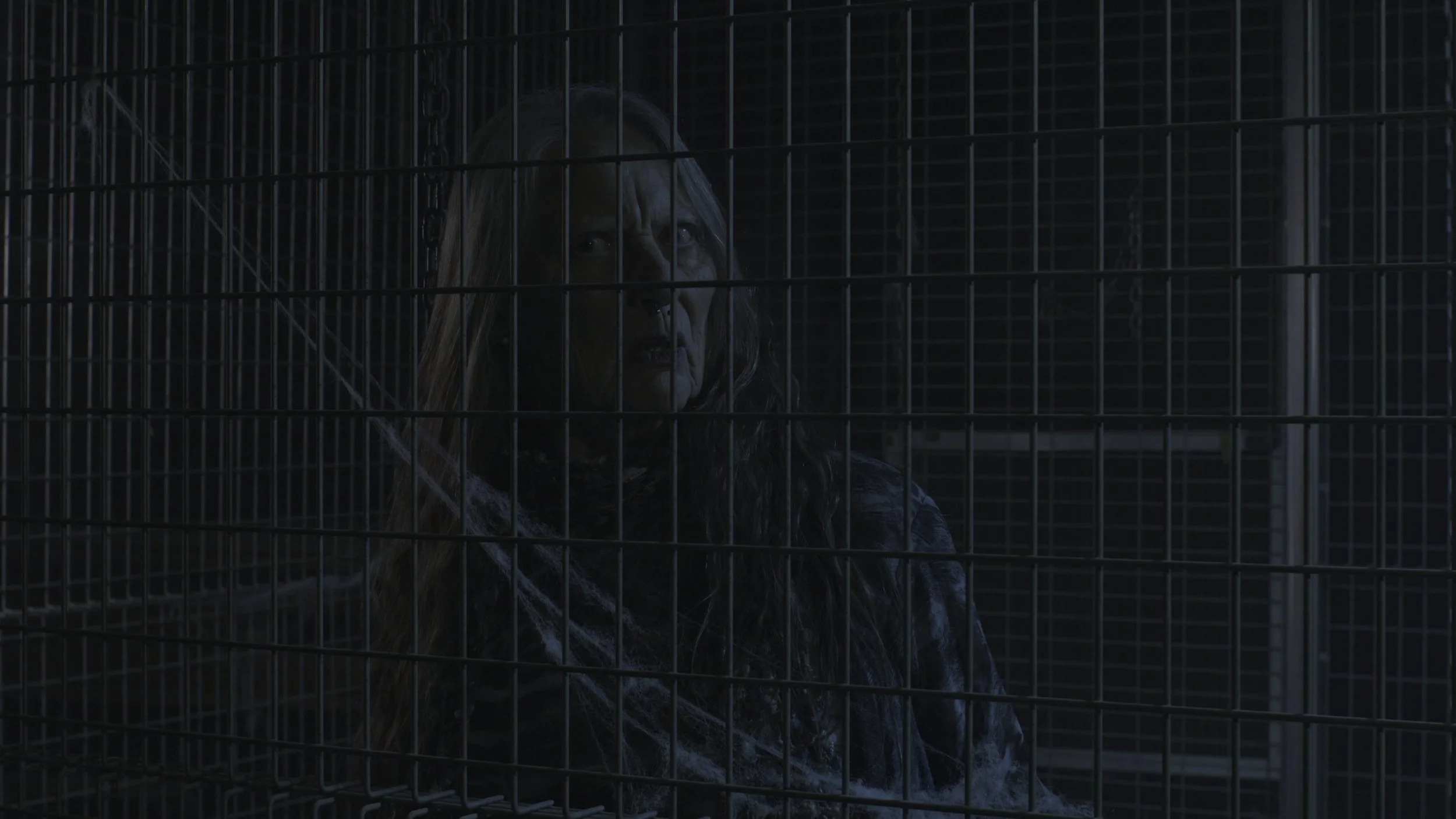 Still 2025-12-29 234253_1.44.1.jpg