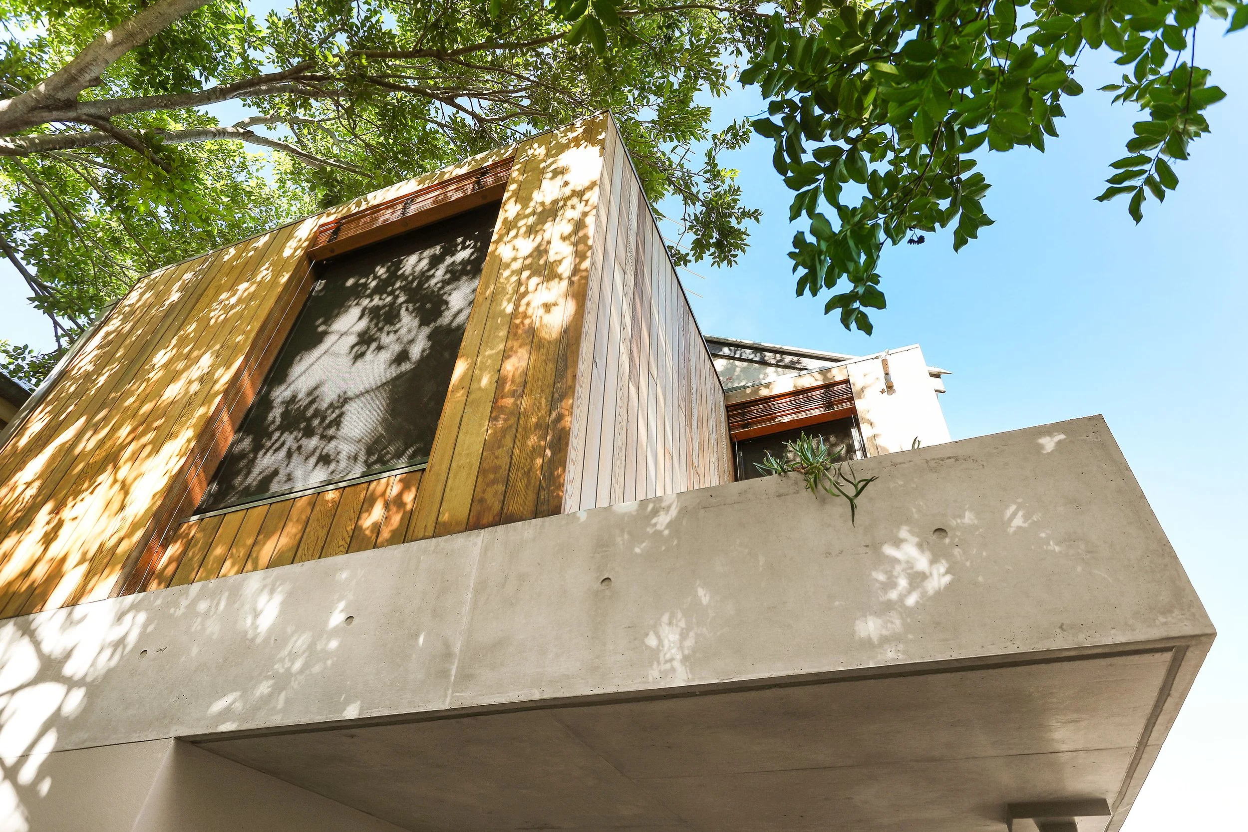 Print_119 Francis Street, Leichhardt-4 (1).jpg