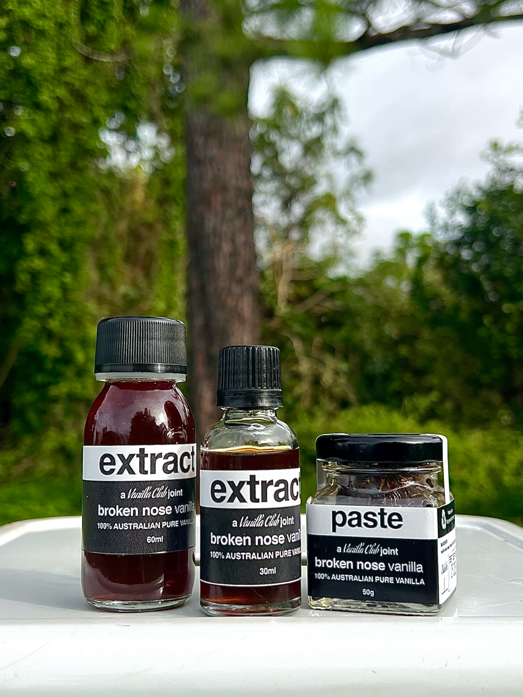 BNV fam1.png (Copy) (Copy)