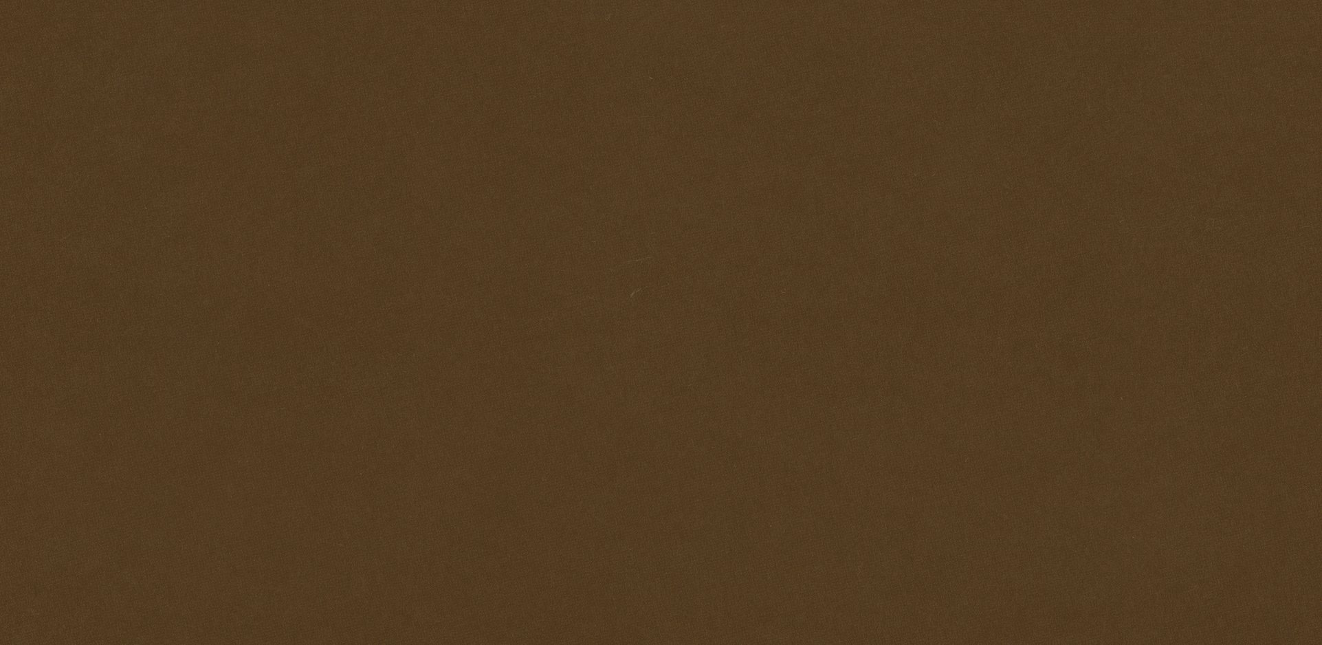 Close-up of a textured brown surface, possibly a wall or fabric.