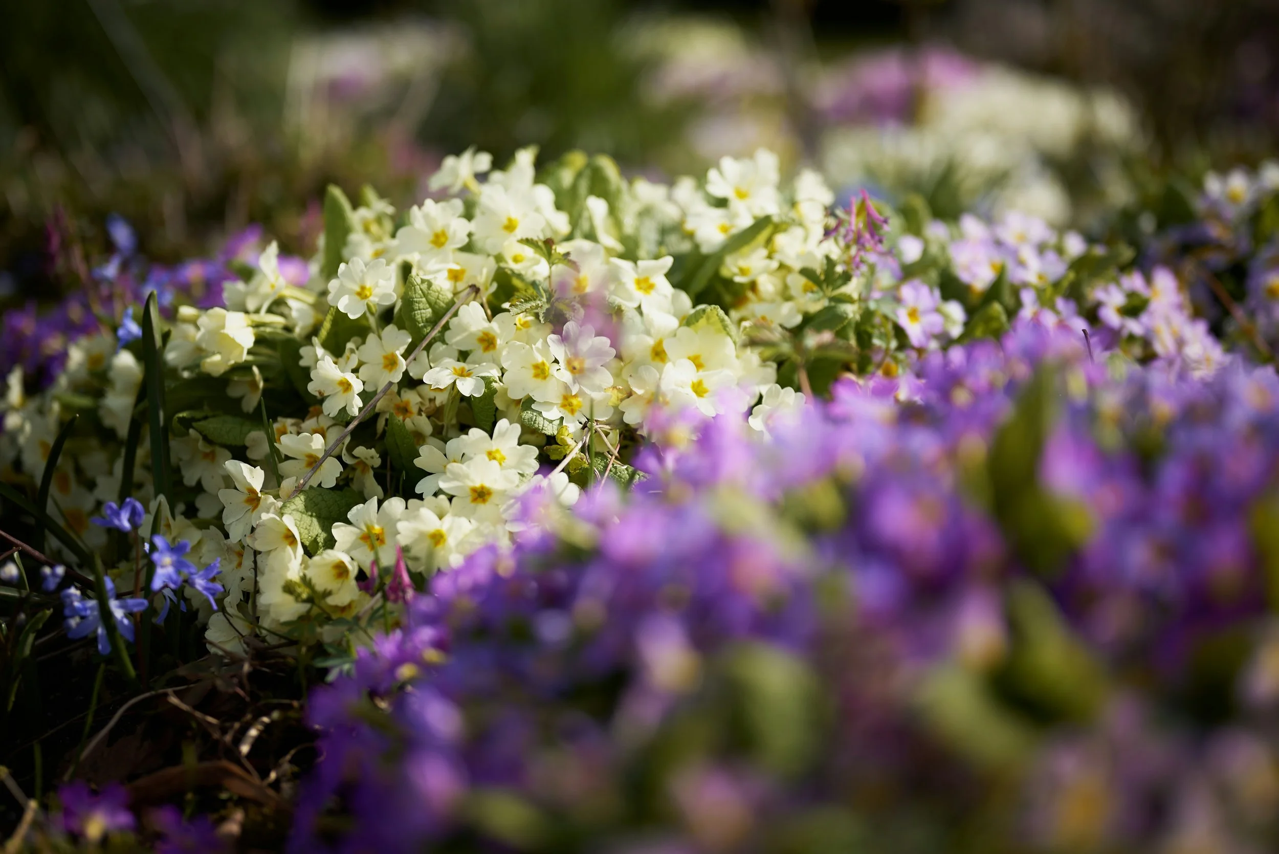 Abdullah v. Winslow at Eagle’s Landing: An Unexpected Victory for Georgia Homeowners