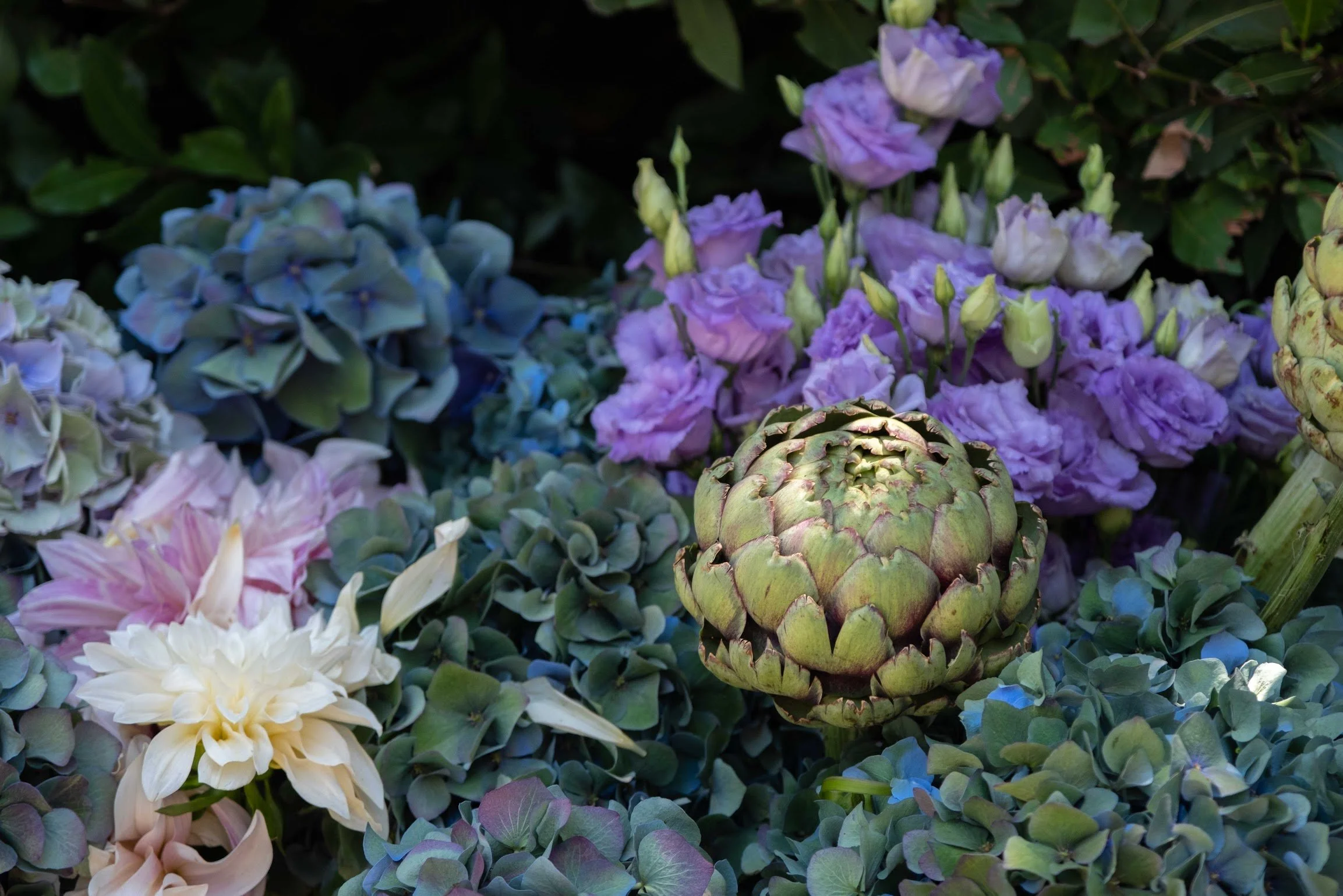 A garden display of purple, blue, and white hydrangea flowers alongside light green artichokes and pink flowers, with green foliage in the background.