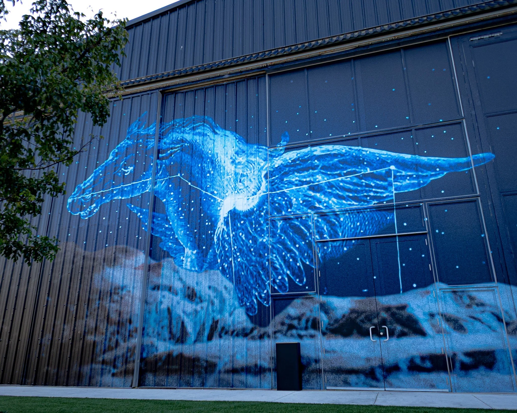 A building with a mural of a blue whale projected onto its dark exterior wall. There is a tree partially covering the left side of the building, and grass at the bottom of the image.
